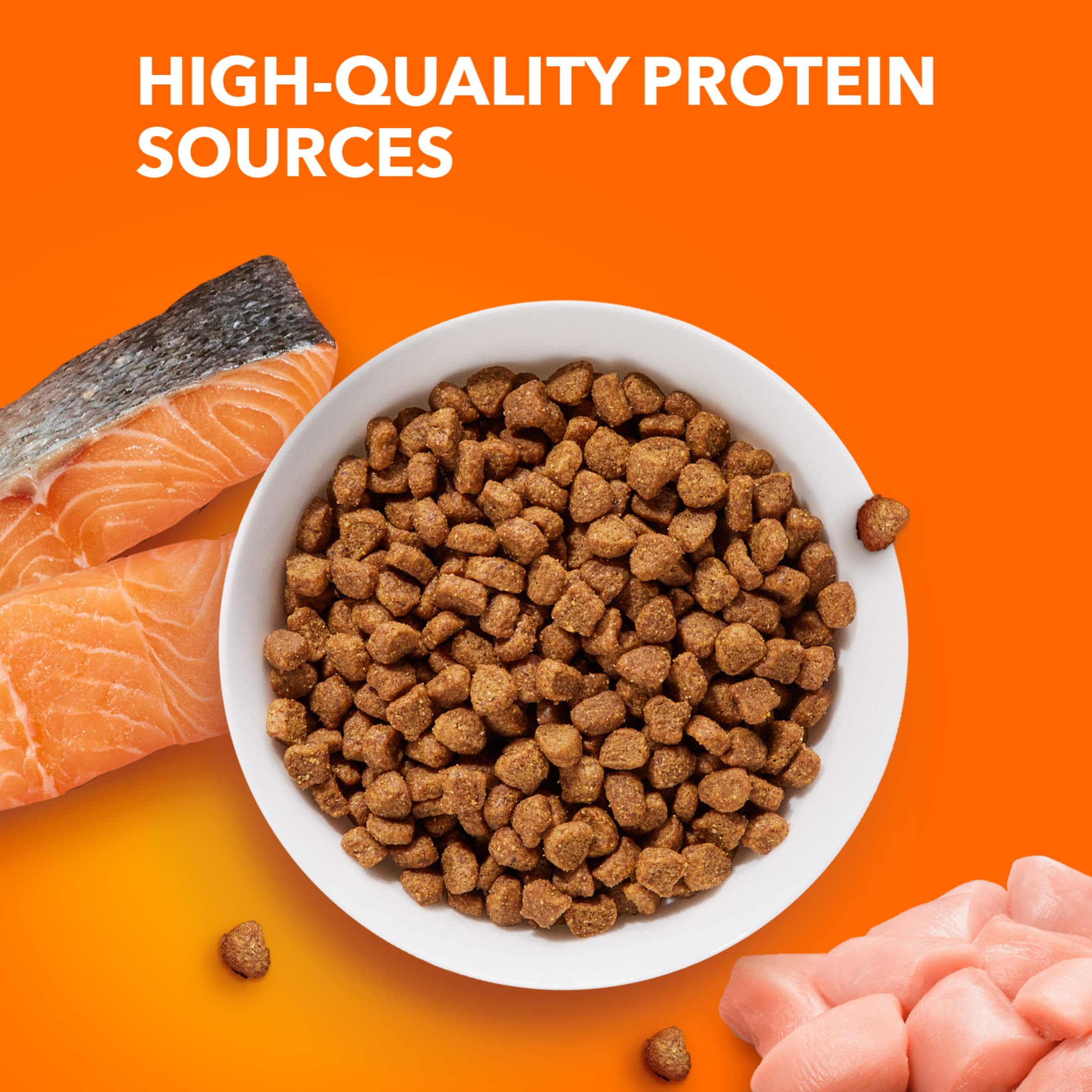 Iams Proactive Health Adult Dry Cat Food, Salmon Recipe (7 lb) xc9cr