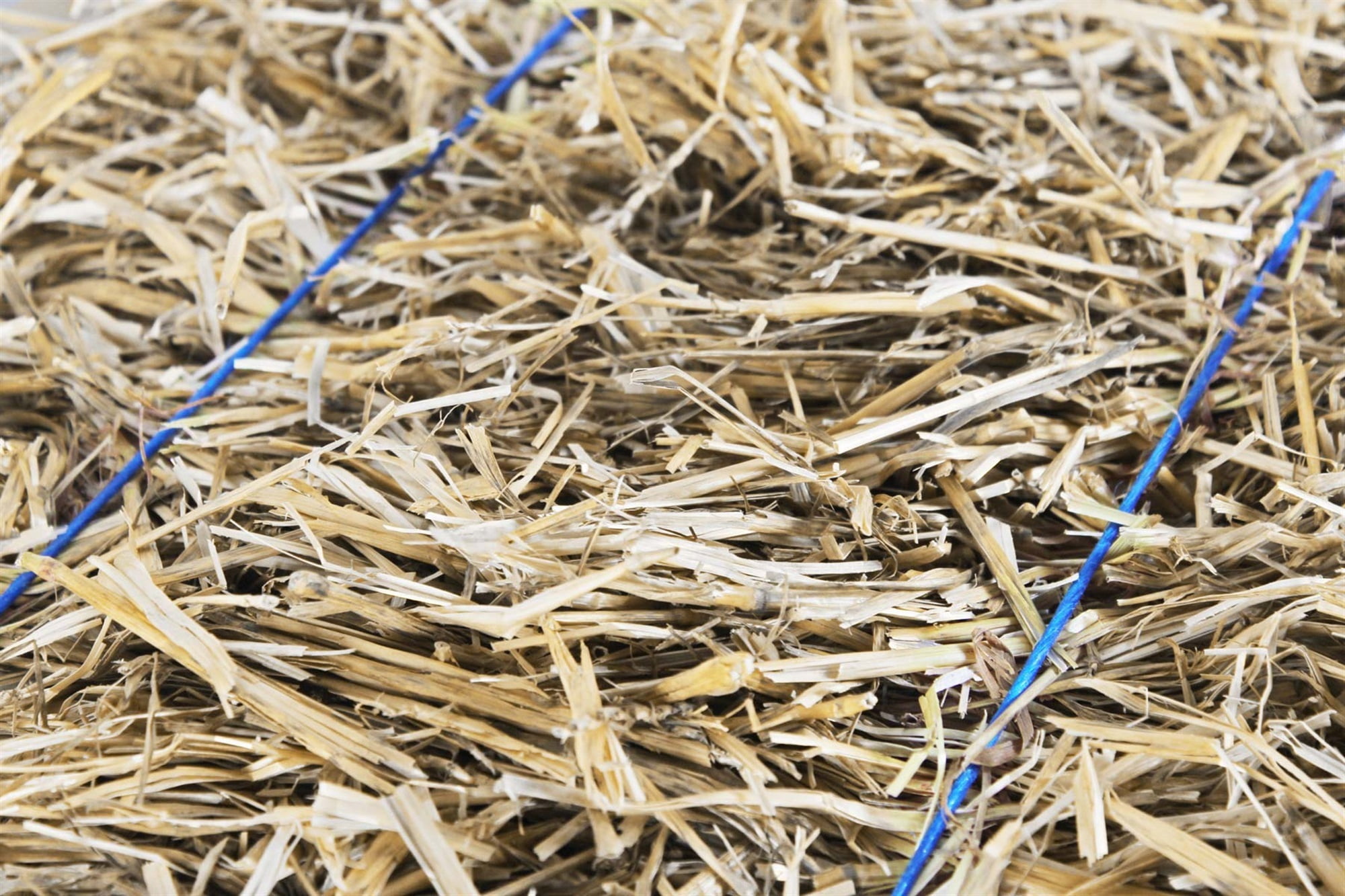 Garden Elements Natural Wheat Straw Bale for Gardening and Animal Bedding (Beige, 22 in) 2ifq5