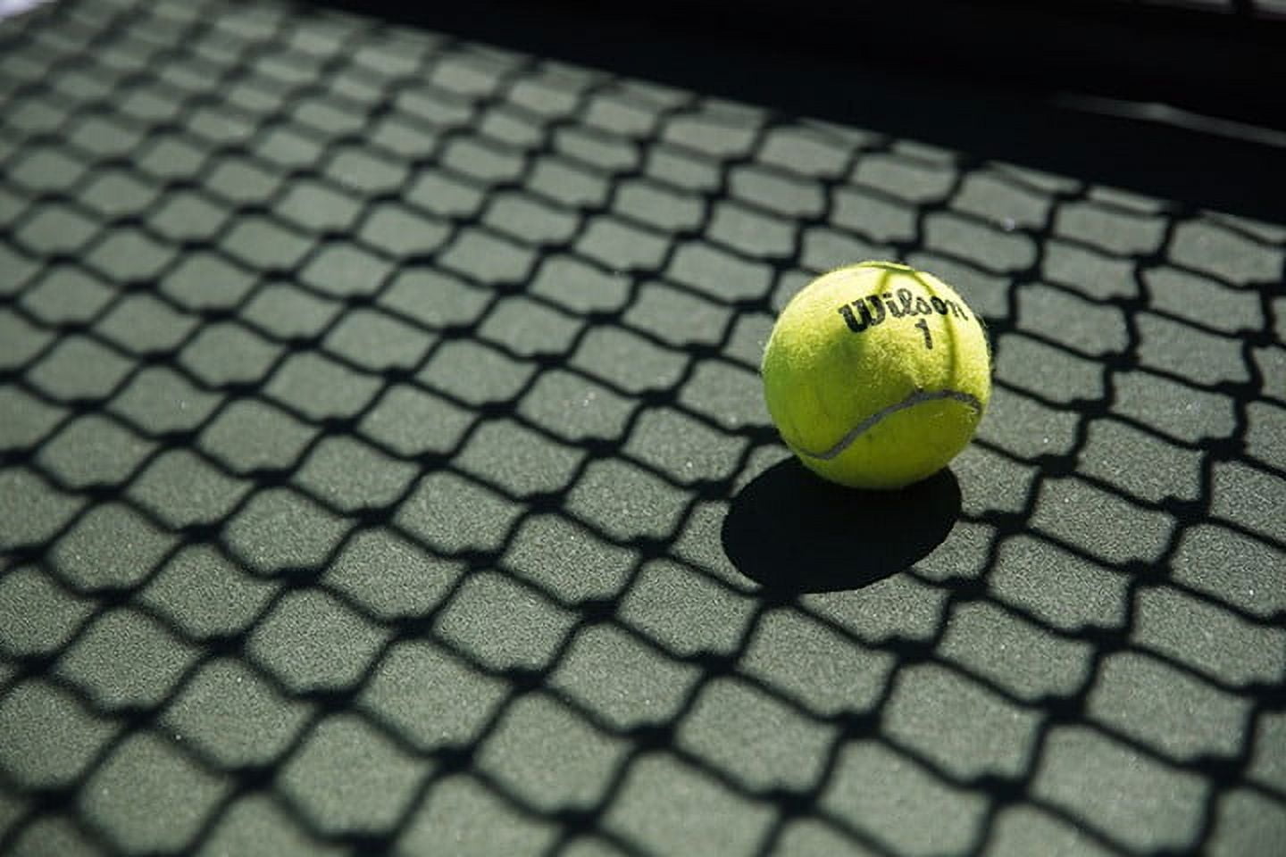 Wilson Championship Extra Duty Tennis Balls (Yellow, 3-Pack) l7hr1