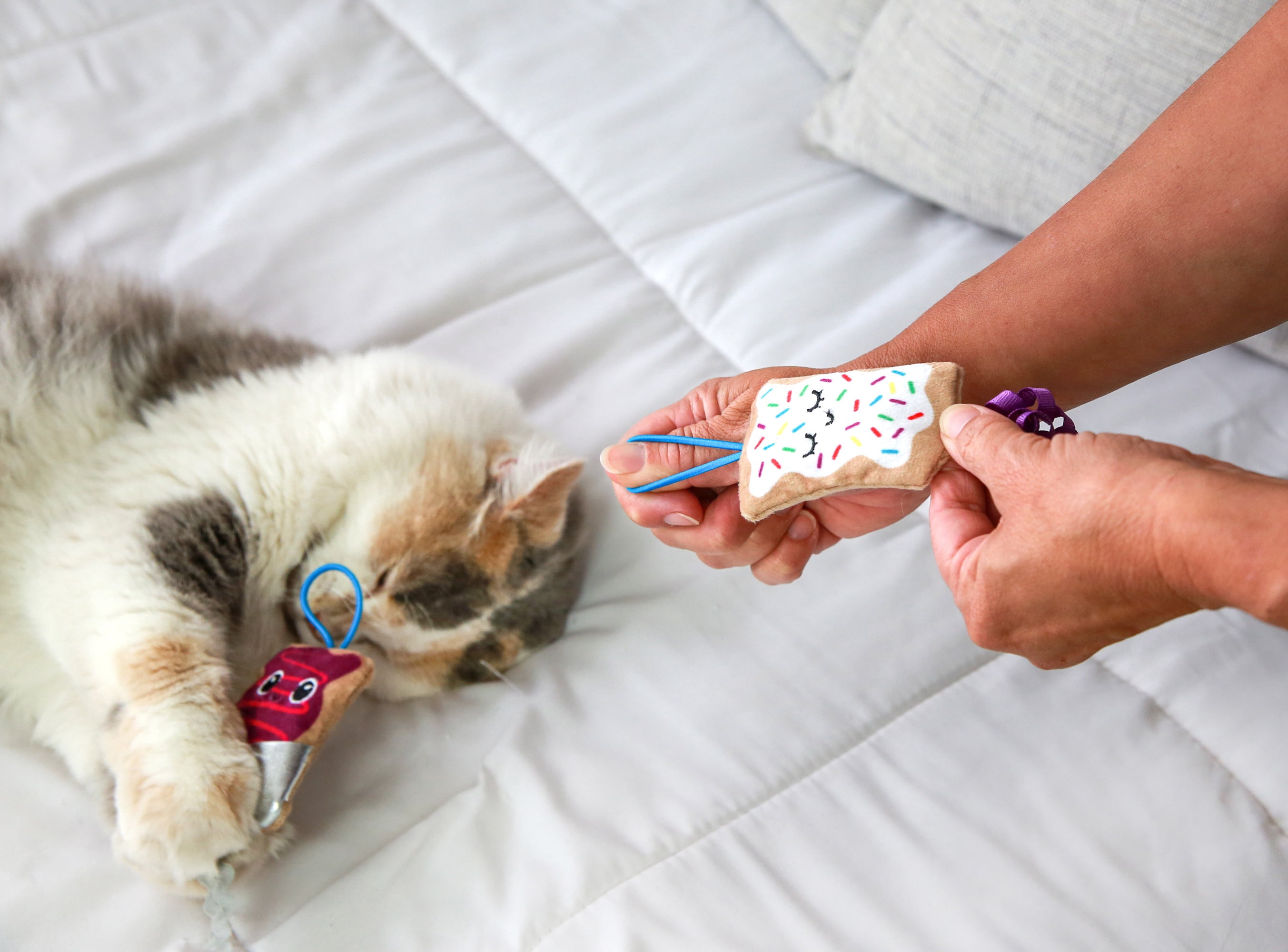 Petmate Quirky Kitty Flingin Purr Tarts Interactive Plush Cat Toy with Natural Catnip (Multicolor, 2 Pack) vfnkj