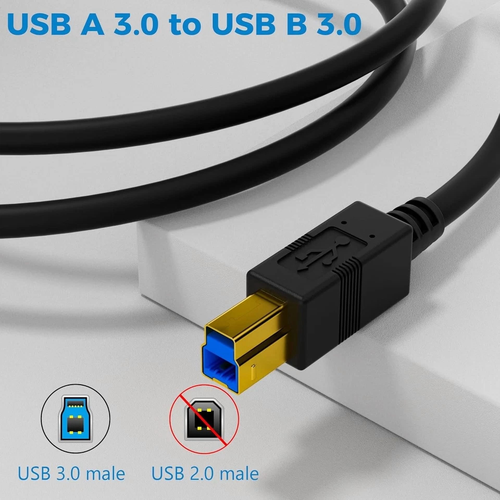 Rhea USB 3.0 A-Male to B-Male Cable (Gold, 10 ft) xqkvg