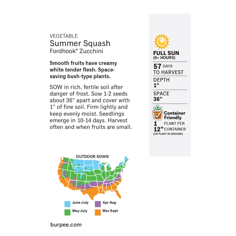 Burpee Fordhook Zucchini Summer Squash Heirloom Vegetable Seeds (1-Pack) e87c7