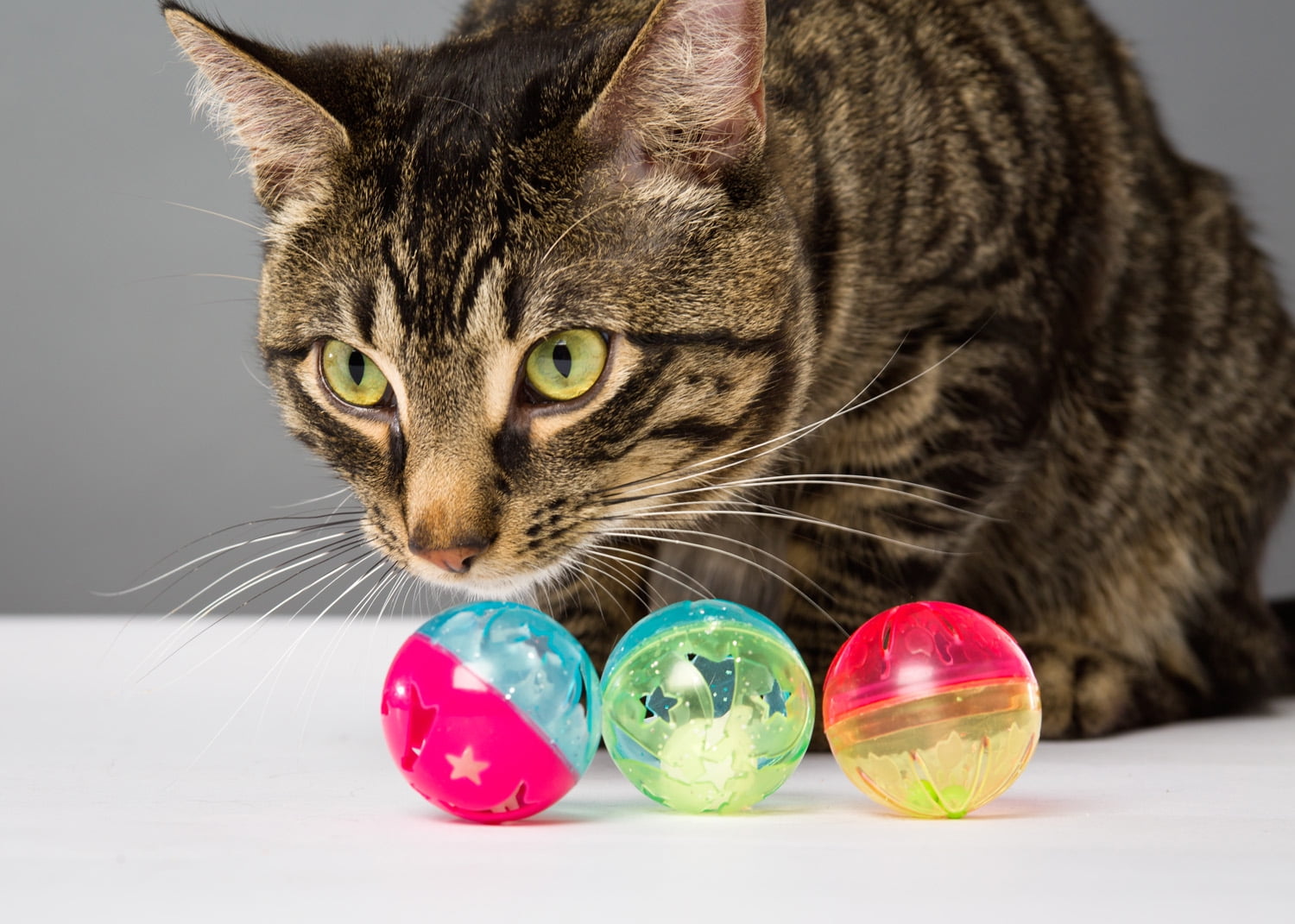 Hartz Just For Cats Bizzy Balls Interactive Cat Toy (Multi-Color, 3 Pack) n7qkn - Image 3