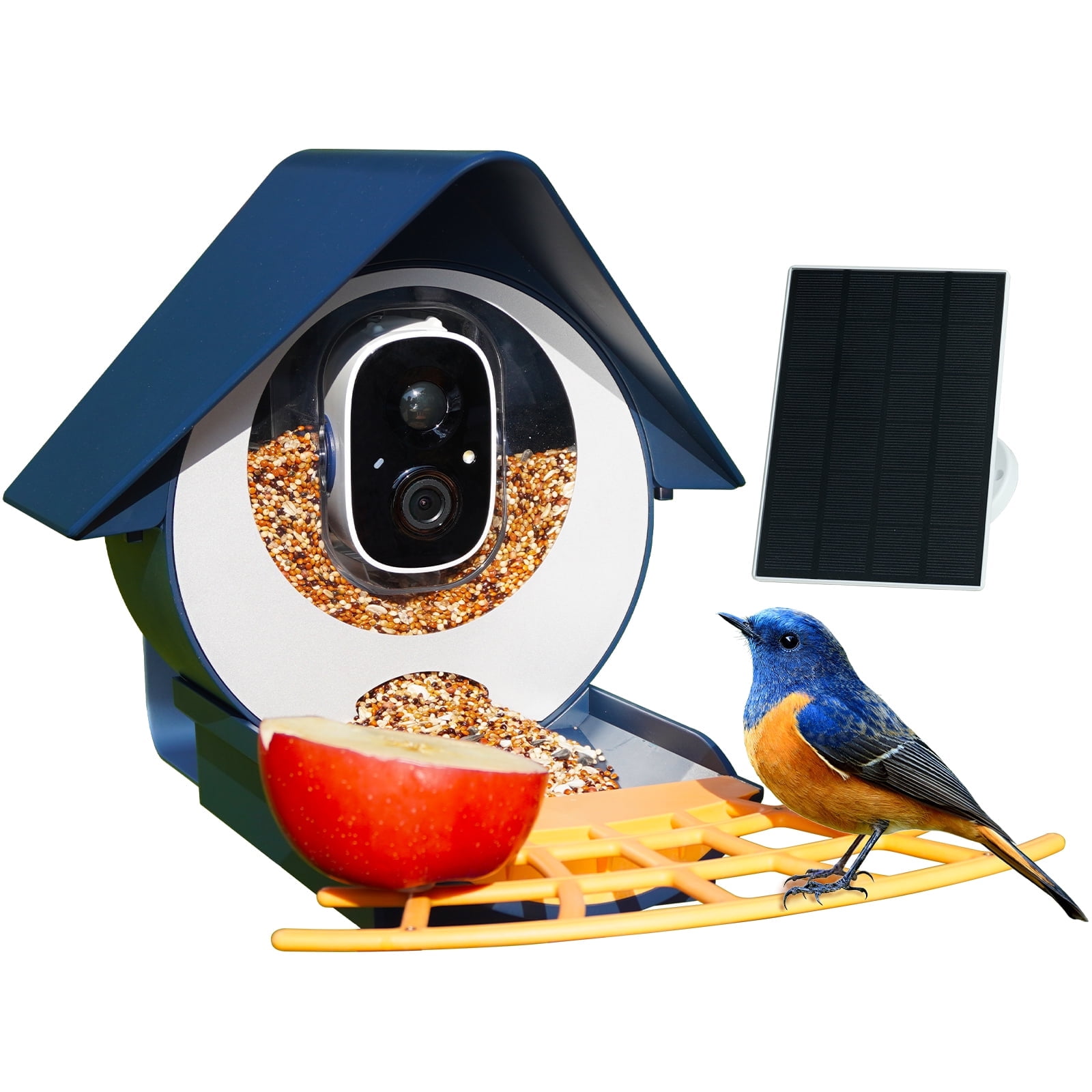 BirdKiss Smart Bird Feeder with Camera, 1080P HD AI Bird Identification, Weatherproof Outdoor Bird Watching Station (Blue, 42.27 fl oz) otass