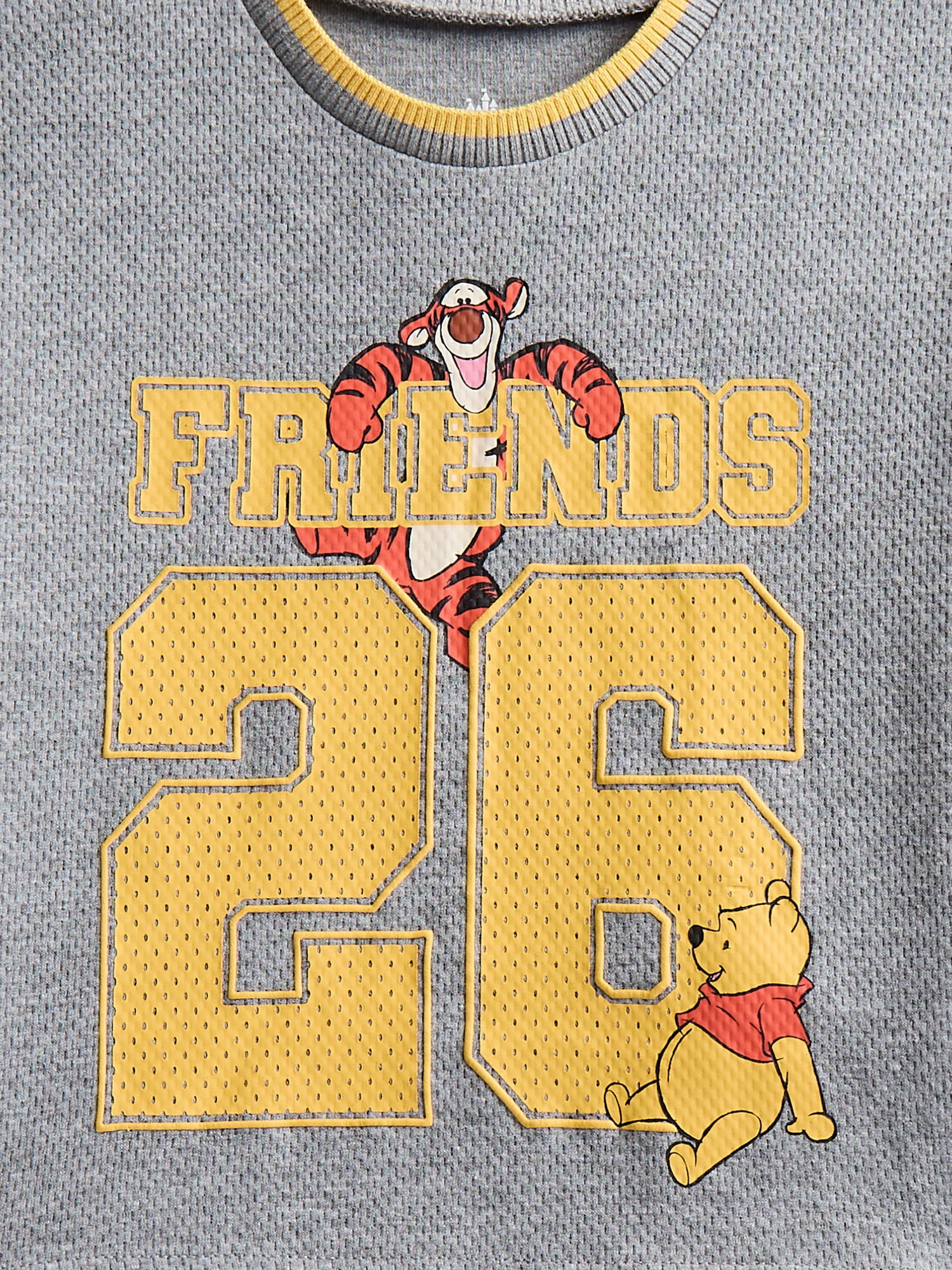 Winnie the Pooh Baby Boys Athletic Graphic T-Shirt and Shorts Set (Grey, 0-3 Months) z45dw
