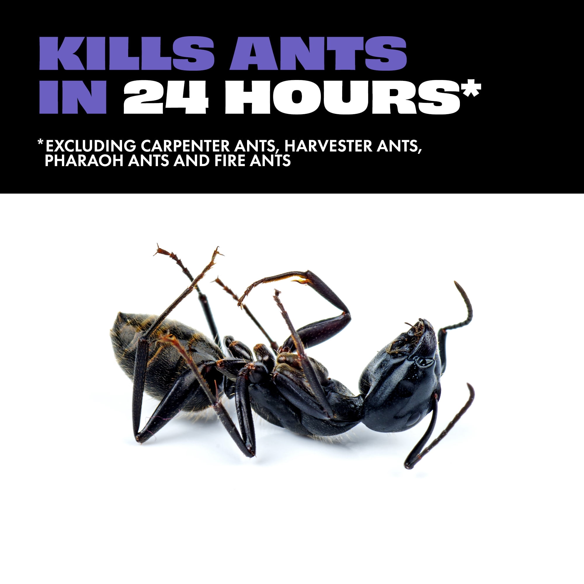 Stem Liquid Ant Killer Bait Stations (Spill-Proof, 4 Count) 61o4f