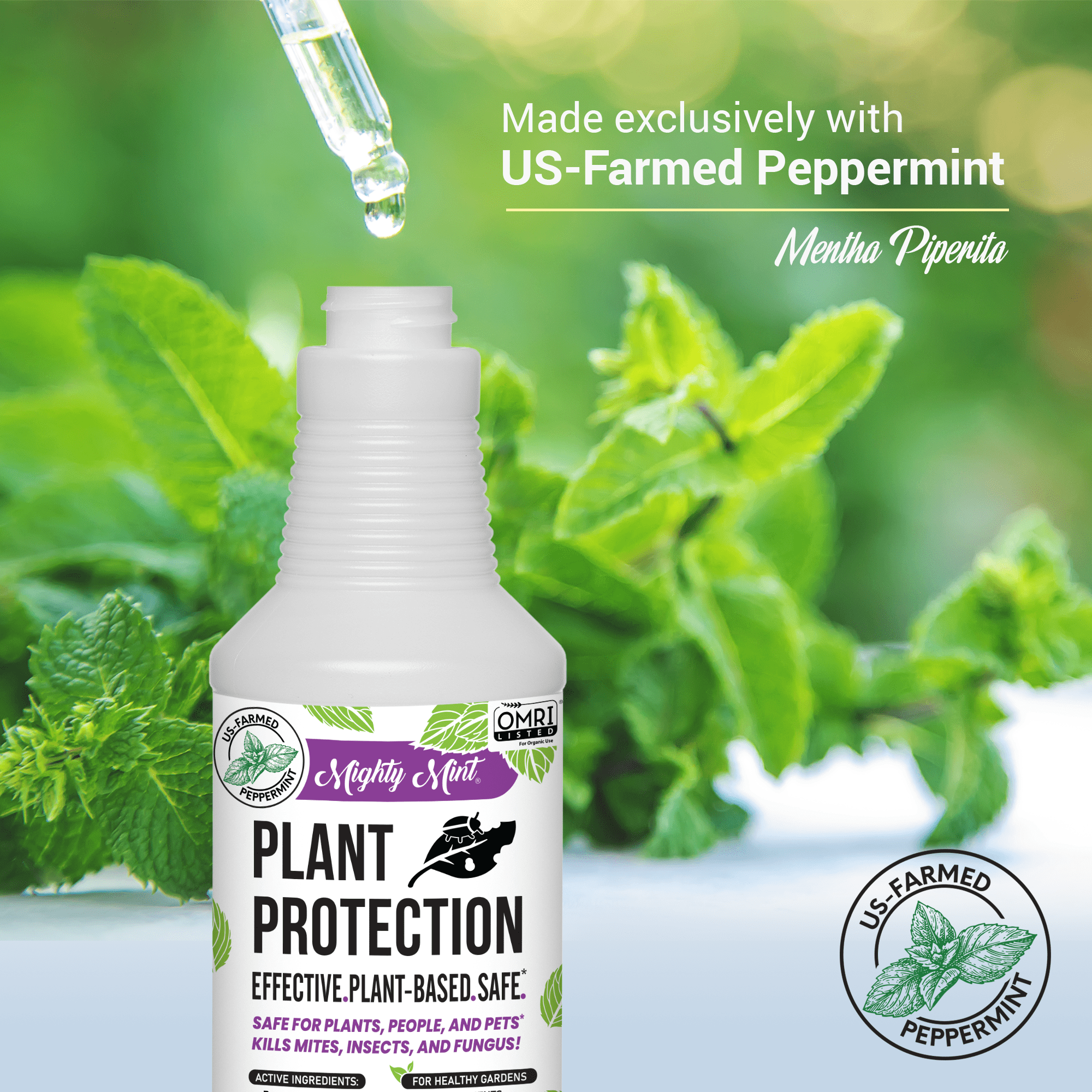 Mighty Mint Peppermint Oil Plant Protection Spray for Gnats, Spider Mites, and Aphids (White, 31 fl oz) ioqz3