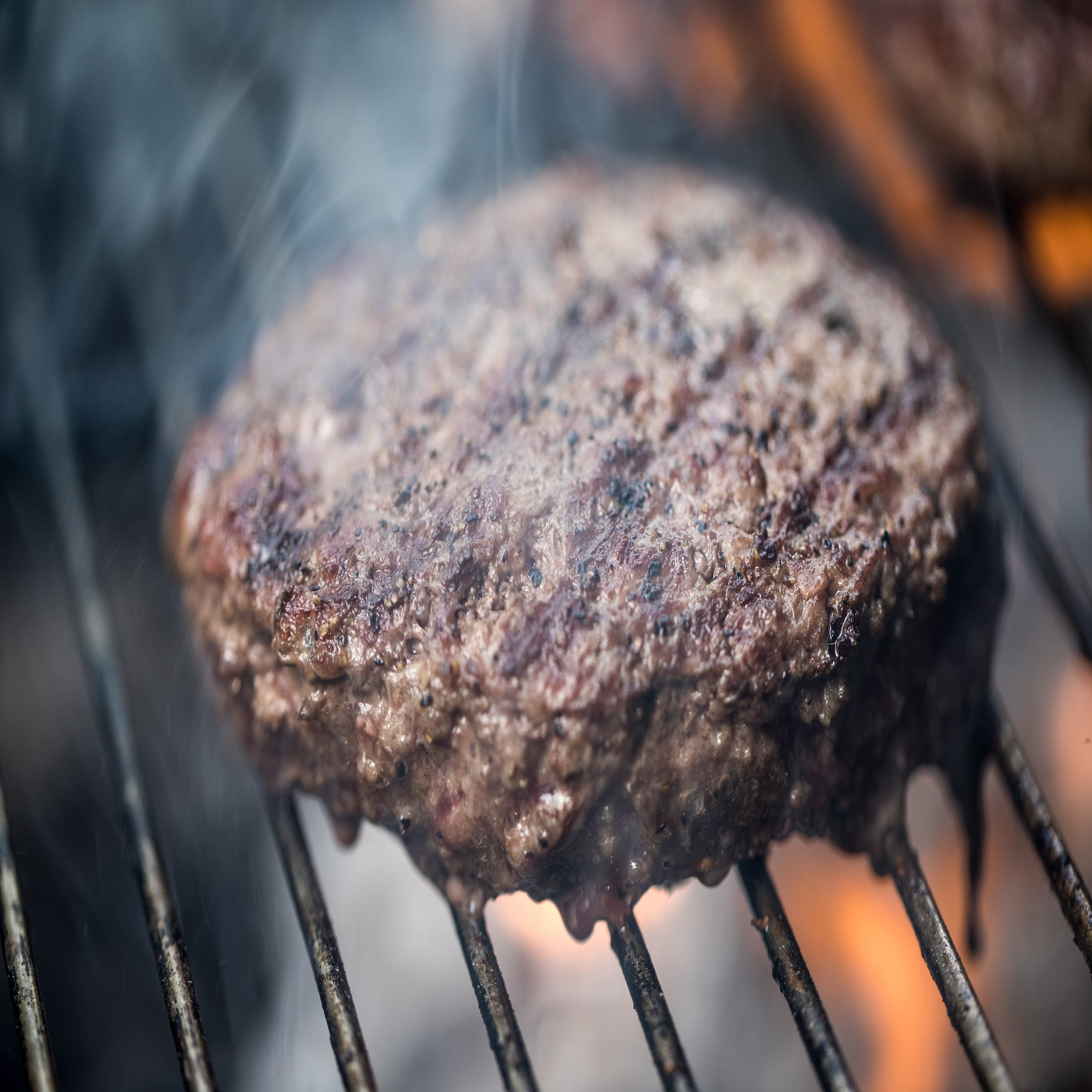 Expert Grill Regular Charcoal Briquets (16 lb) 74xd7