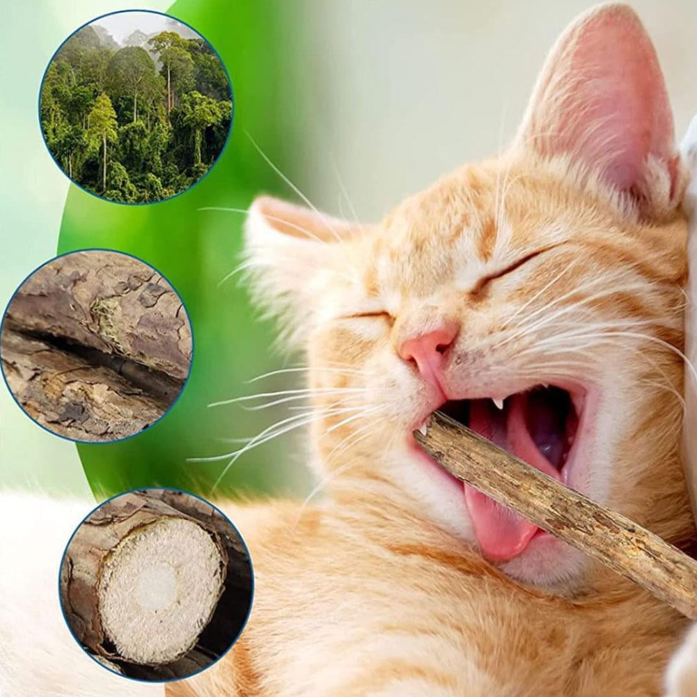 Yiokii Natural Matatabi Cat Chew Sticks Organic Dental Molar Toy (Green, 5 Pack) b2ytl