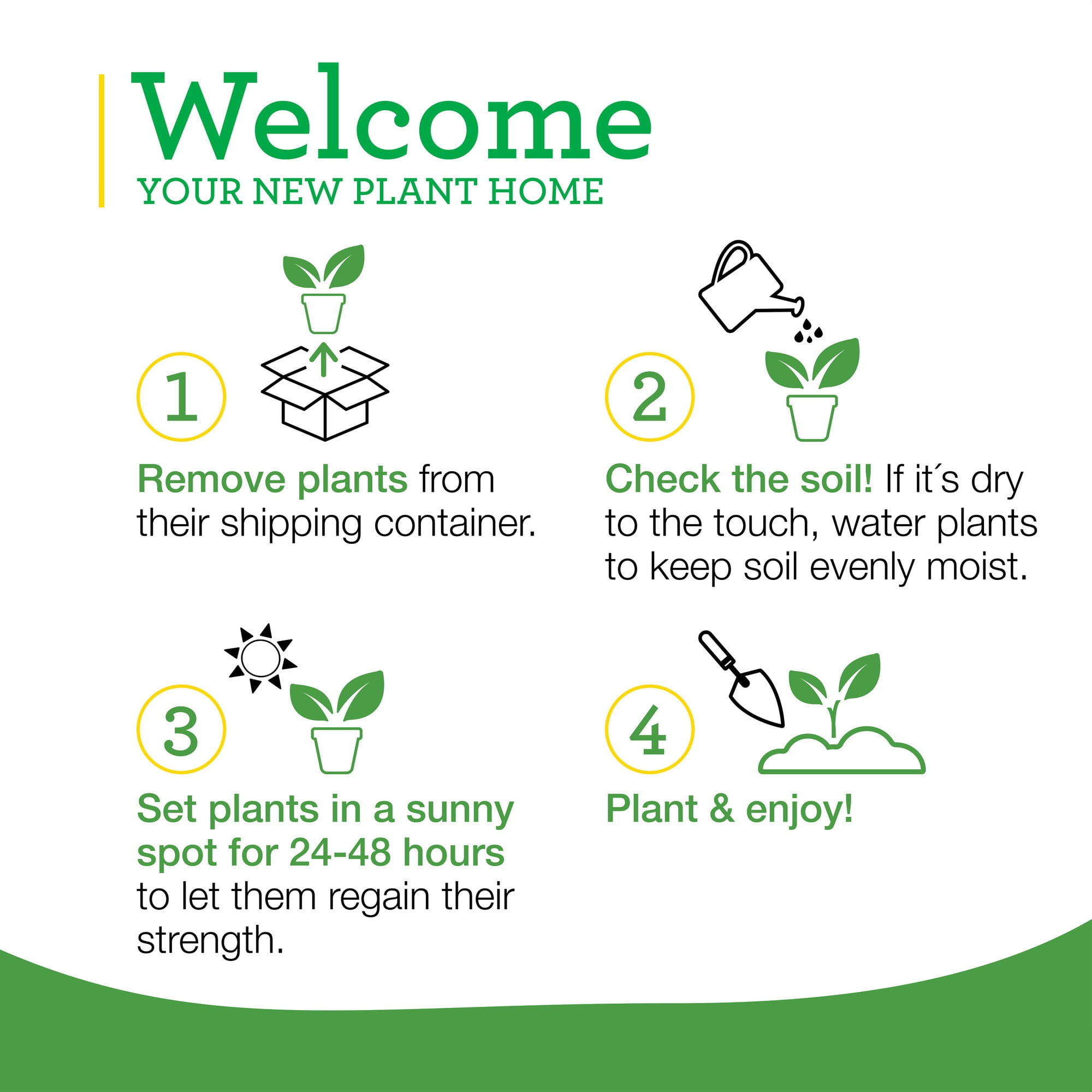 Bonnie Plants Lemon Balm Herb Plant (Green, 19.3 oz, 2-Pack) gpm67