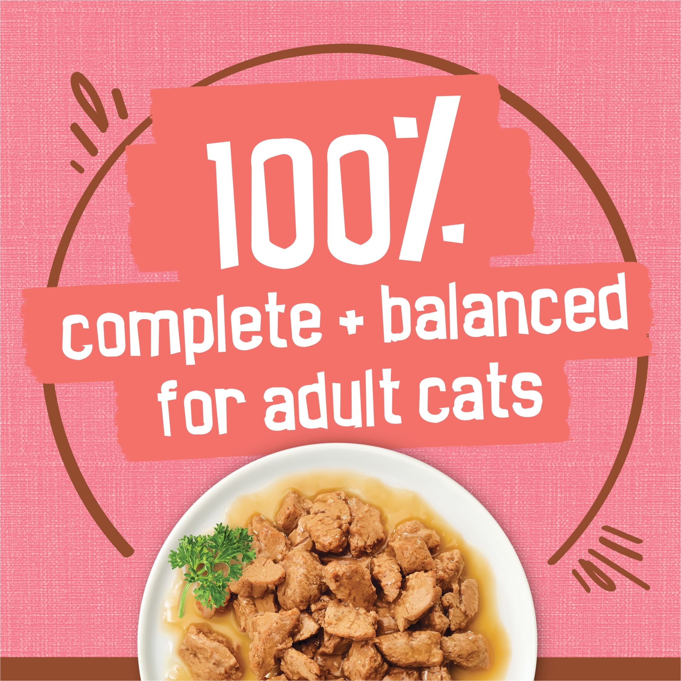 Friskies Extra Gravy Chunky Salmon Wet Cat Food (Salmon, 5.5 oz) fll9e