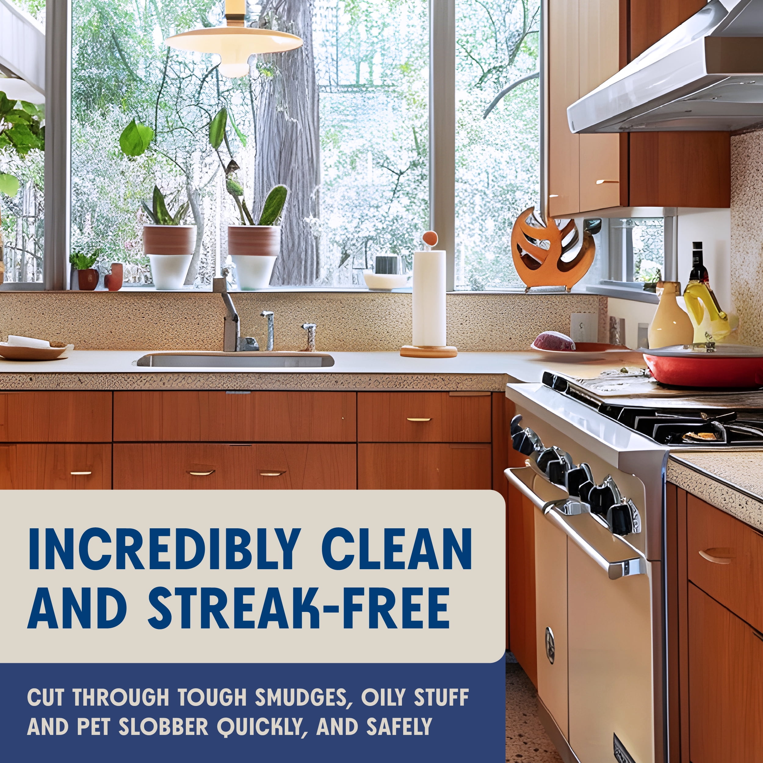 Aunt Fannie's Stainless Steel Cleaner, Streak-Free Plant-Based Formula (Lavender, 16.9 fl oz) xu1vn
