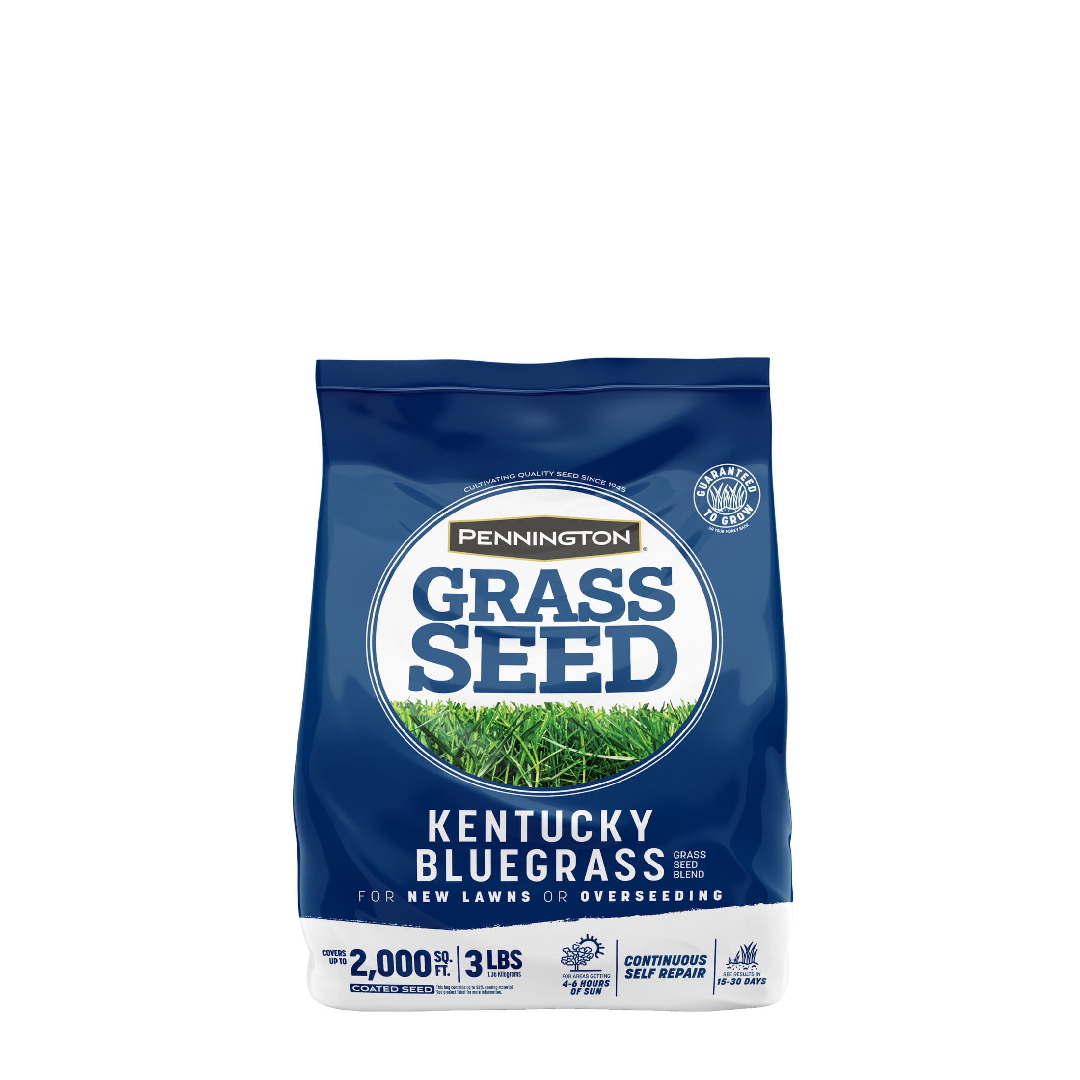 Pennington Kentucky Bluegrass Northern Grass Seed Mix (Sun to Partial Shade, 3 lb) 1u0vo