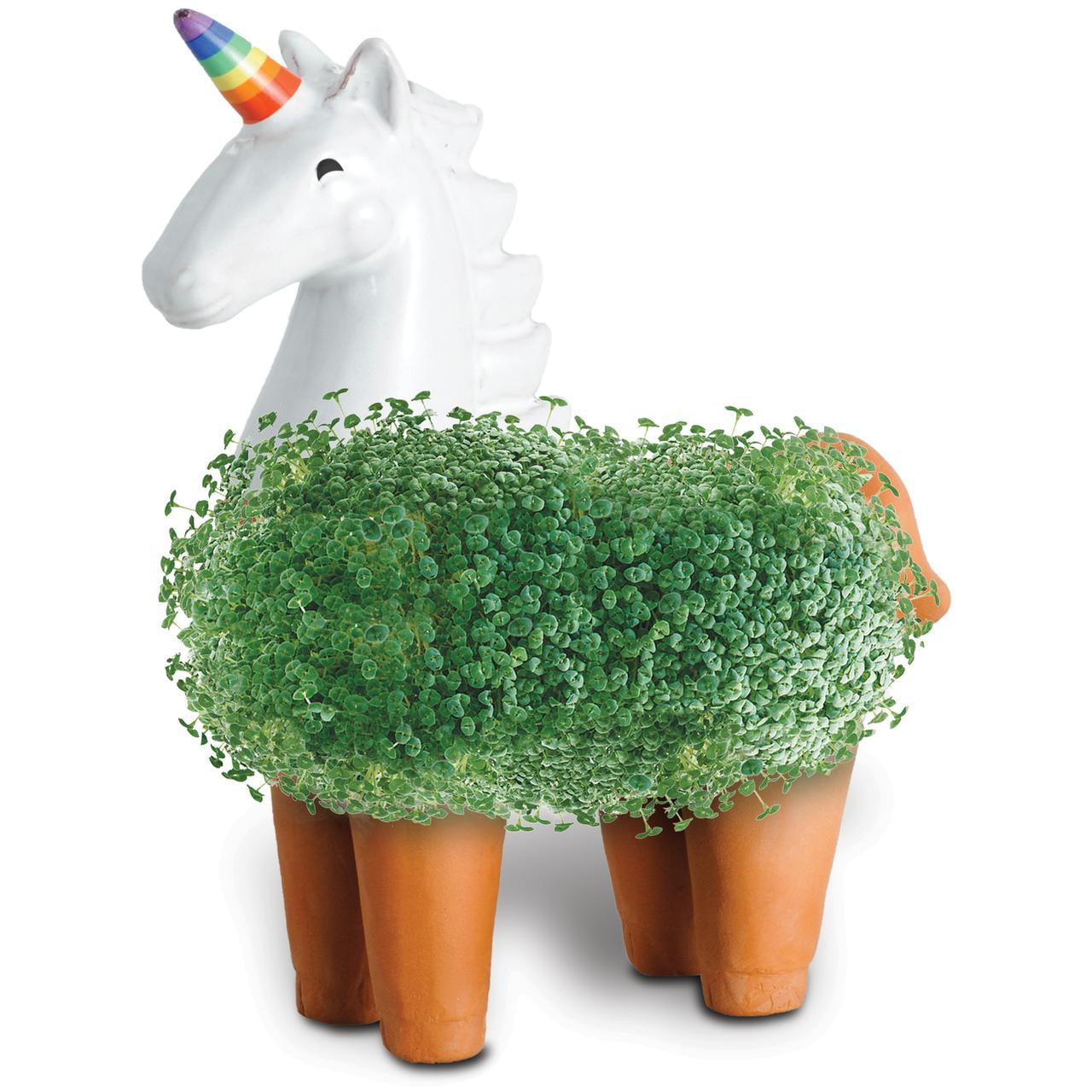 Chia Pet Unicorn Handmade Decorative Planter (1 Set) fd2m1