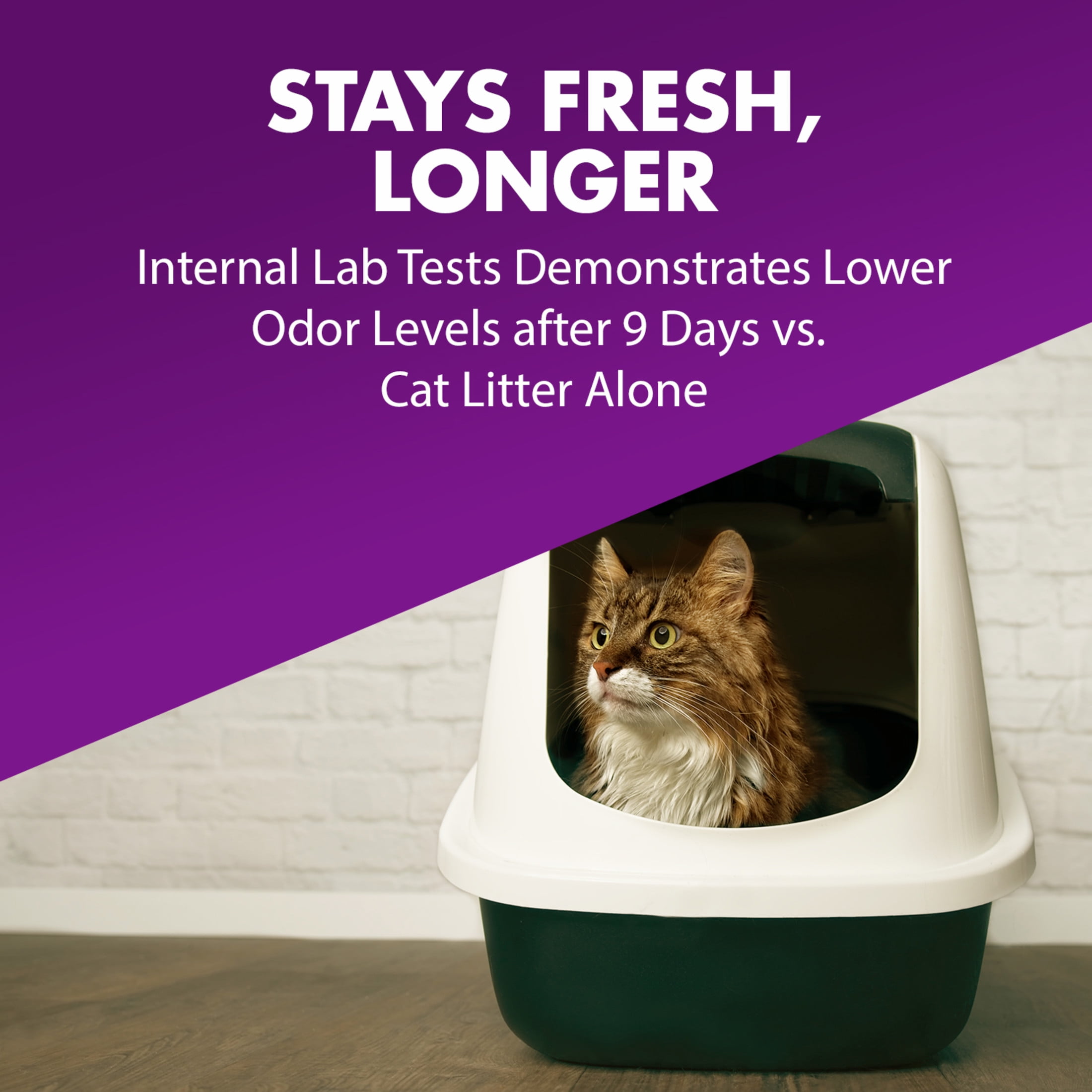 ARM & HAMMER Double Duty Cat Litter Deodorizer and Pet Odor Eliminator (33 oz) cby60