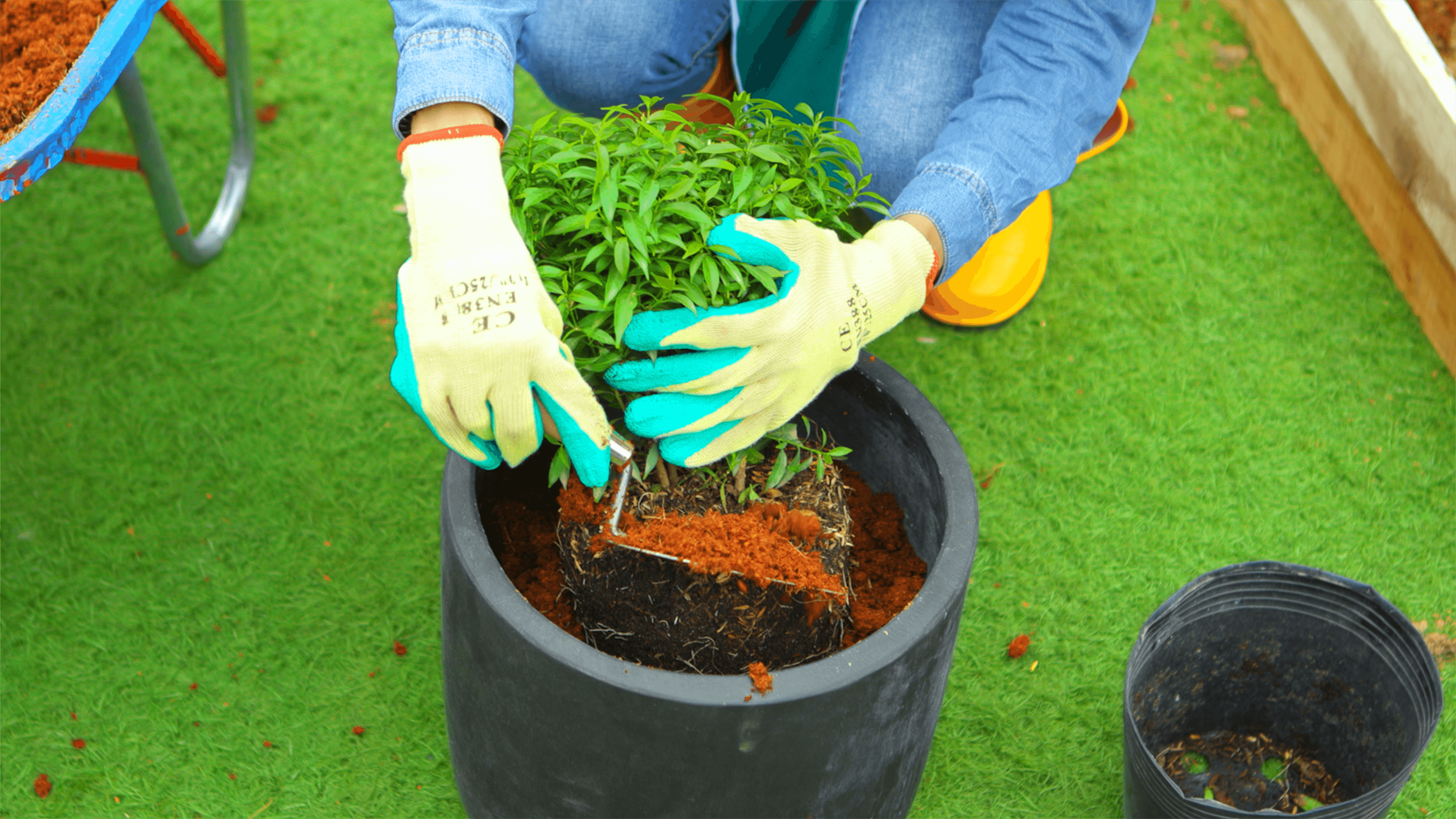 Expert Gardener Organics Expanding Potting Mix Soil (2.25 cu ft) drbay
