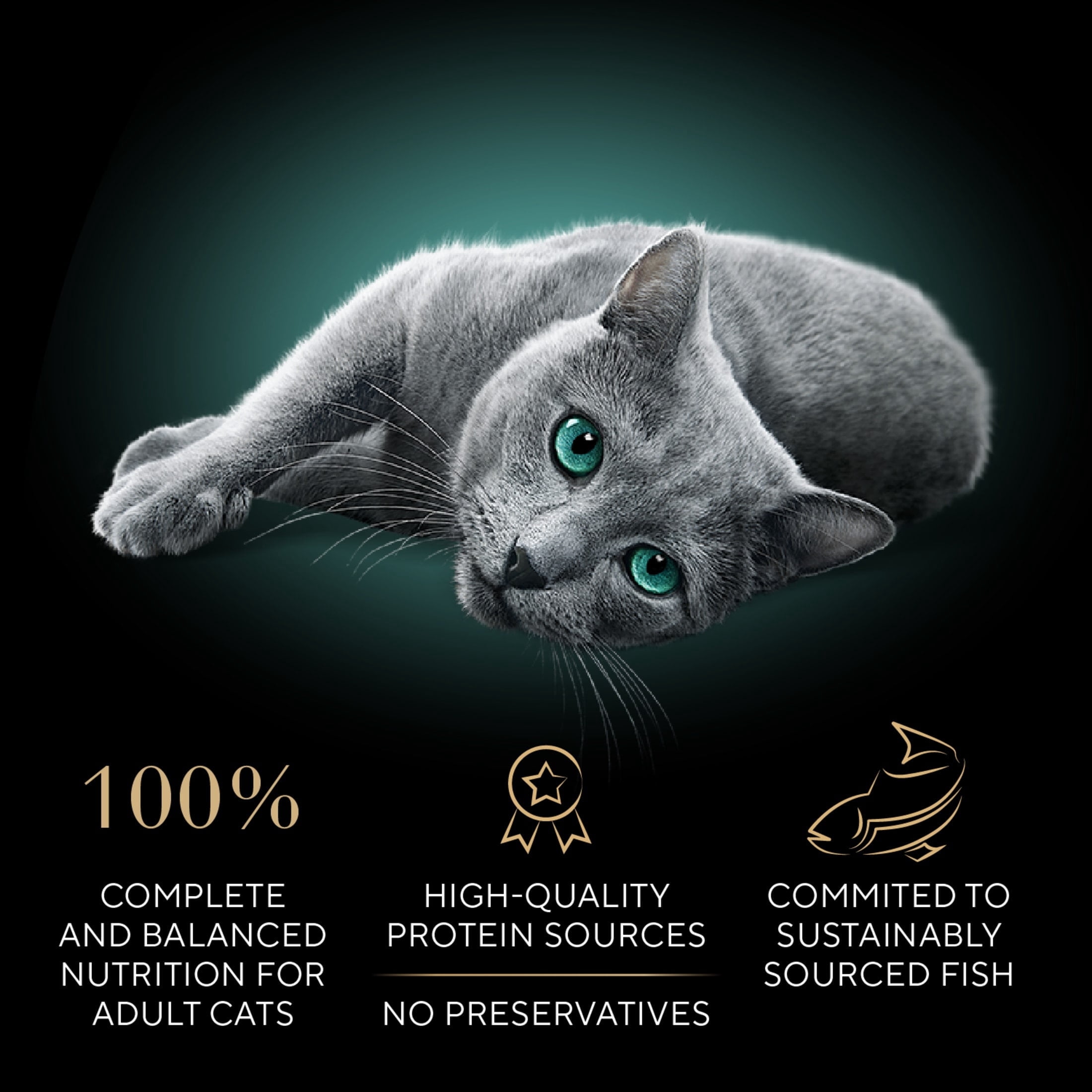 SHEBA Perfect Portions Wet Cat Food Cuts in Gravy Variety Pack (24 Trays, 2.6 oz each) knfl8