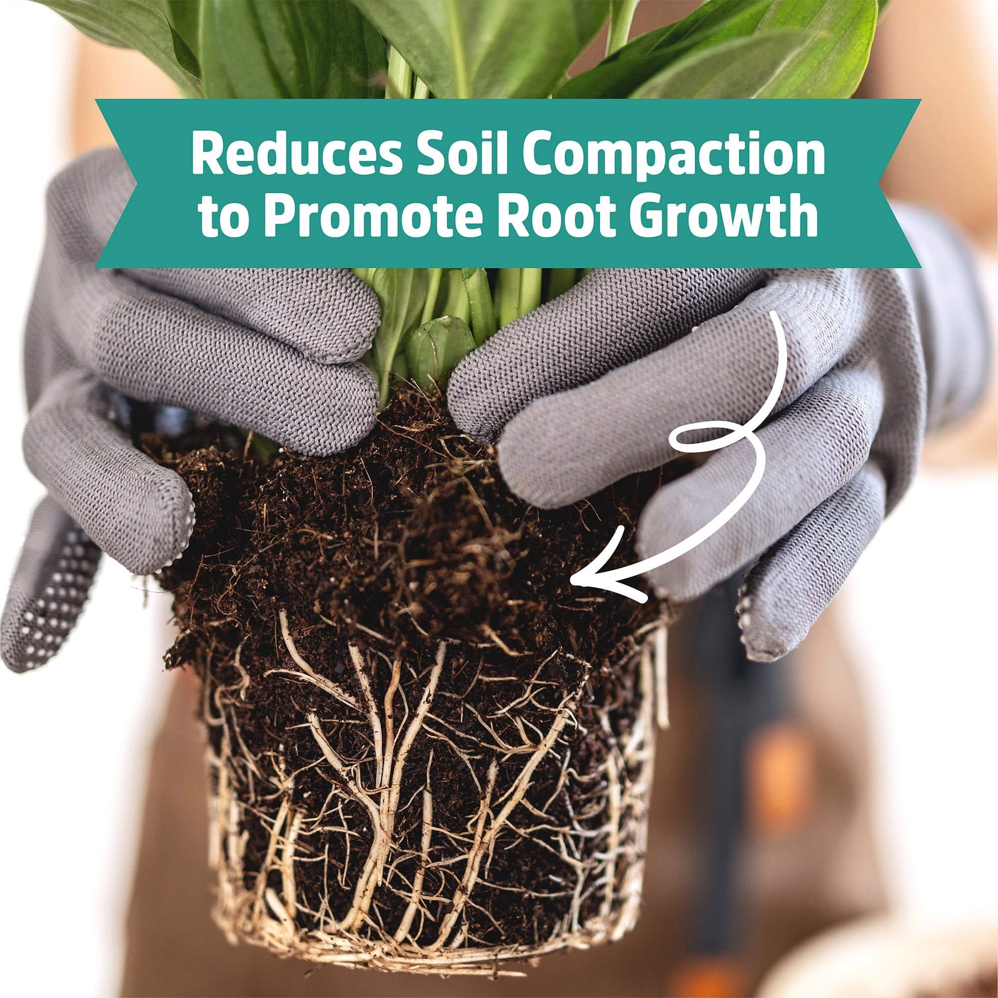 Back to the Roots Organic Perlite for Garden Soil, Soil Aeration and Drainage Amendment (8 qt) zootn