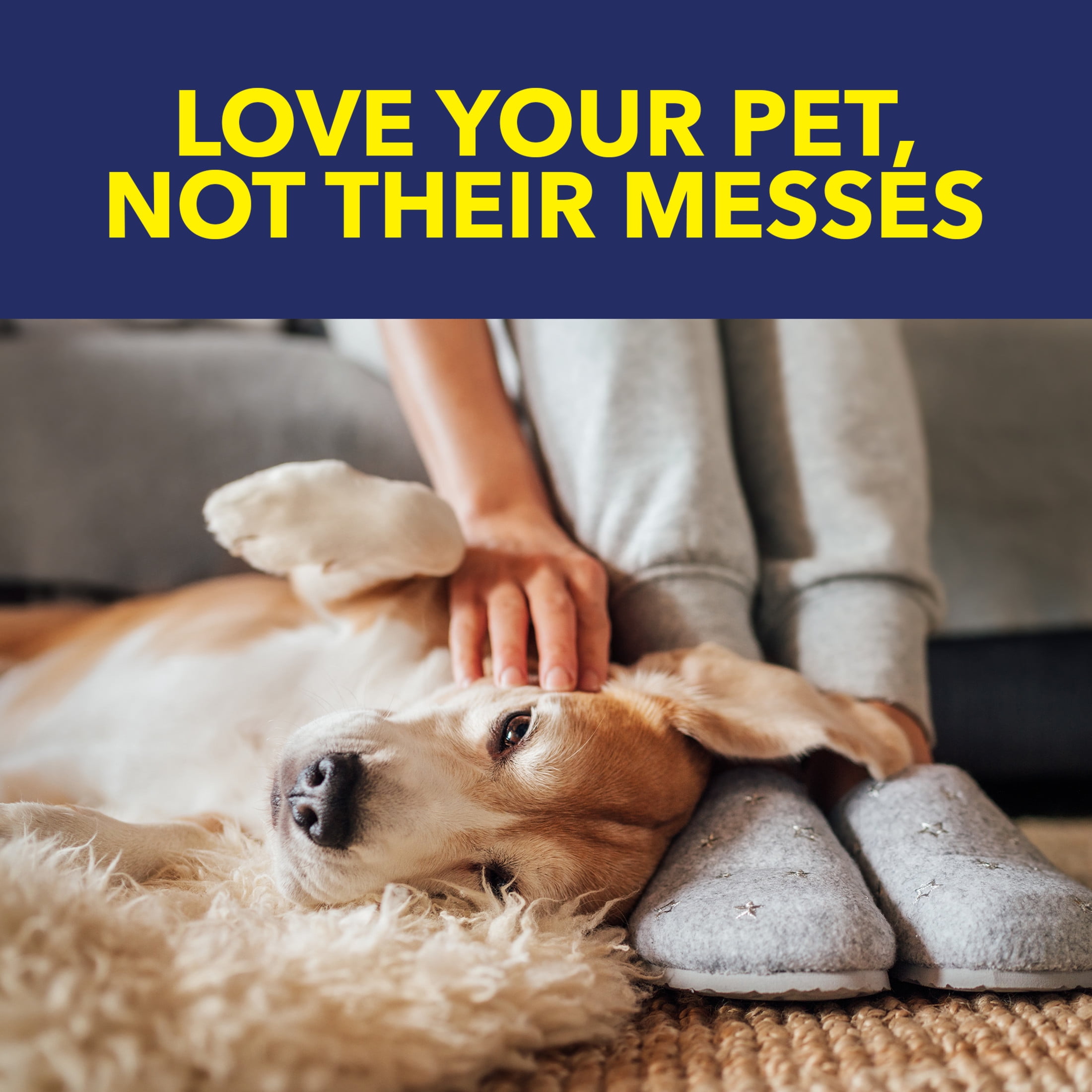 OxiClean Carpet and Rug Pet Stain and Odor Remover, Professional Strength Cleaning Solution (24 fl oz) ys7lf