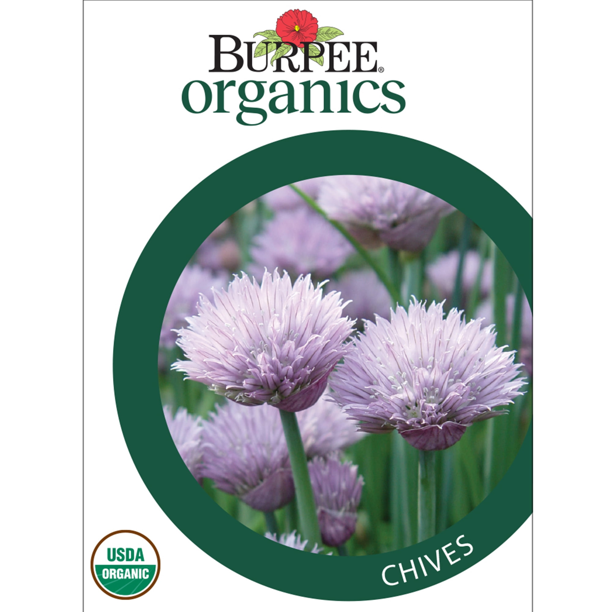 Burpee Organic Common Chives Herb Seeds (1-Pack) 0h6xk