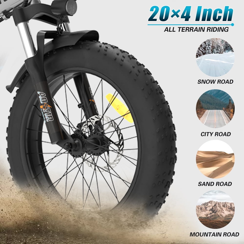 Aostirmotor Folding Electric Bike, 750W Motor, 20 in Fat Tire, 48V Removable Battery (Black, 260 lb Capacity) i57tt