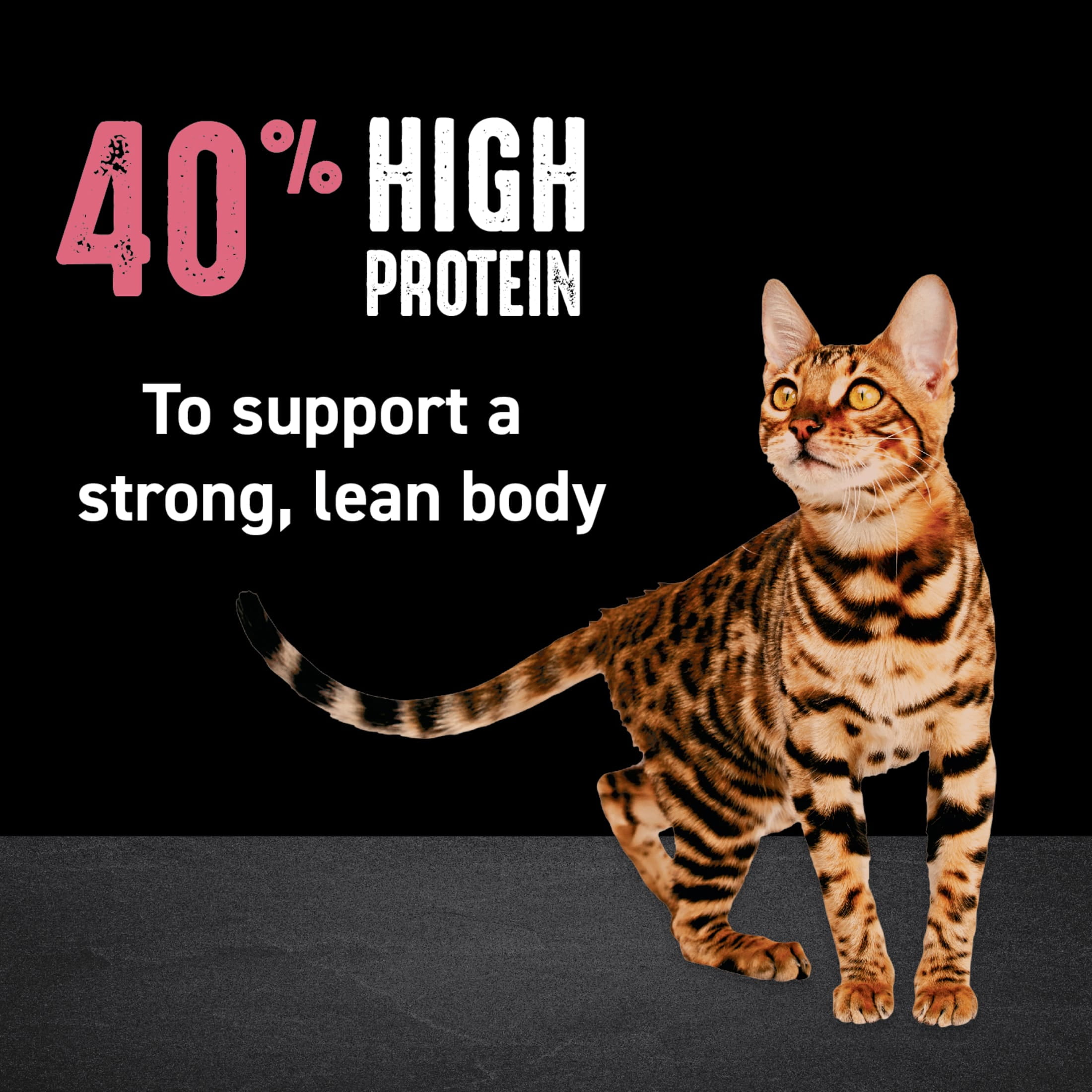 Crave Grain Free Indoor Adult Dry Cat Food, High Protein Chicken & Salmon Recipe (4 lb) qbzj2