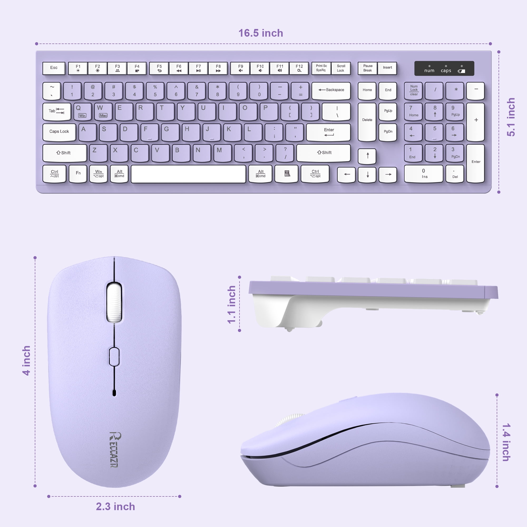 RECCAZR Wireless Keyboard and Mouse Combo, Full Size Ergonomic Desktop Set with Multimedia Keys (Purple, 1 Set) m2vha