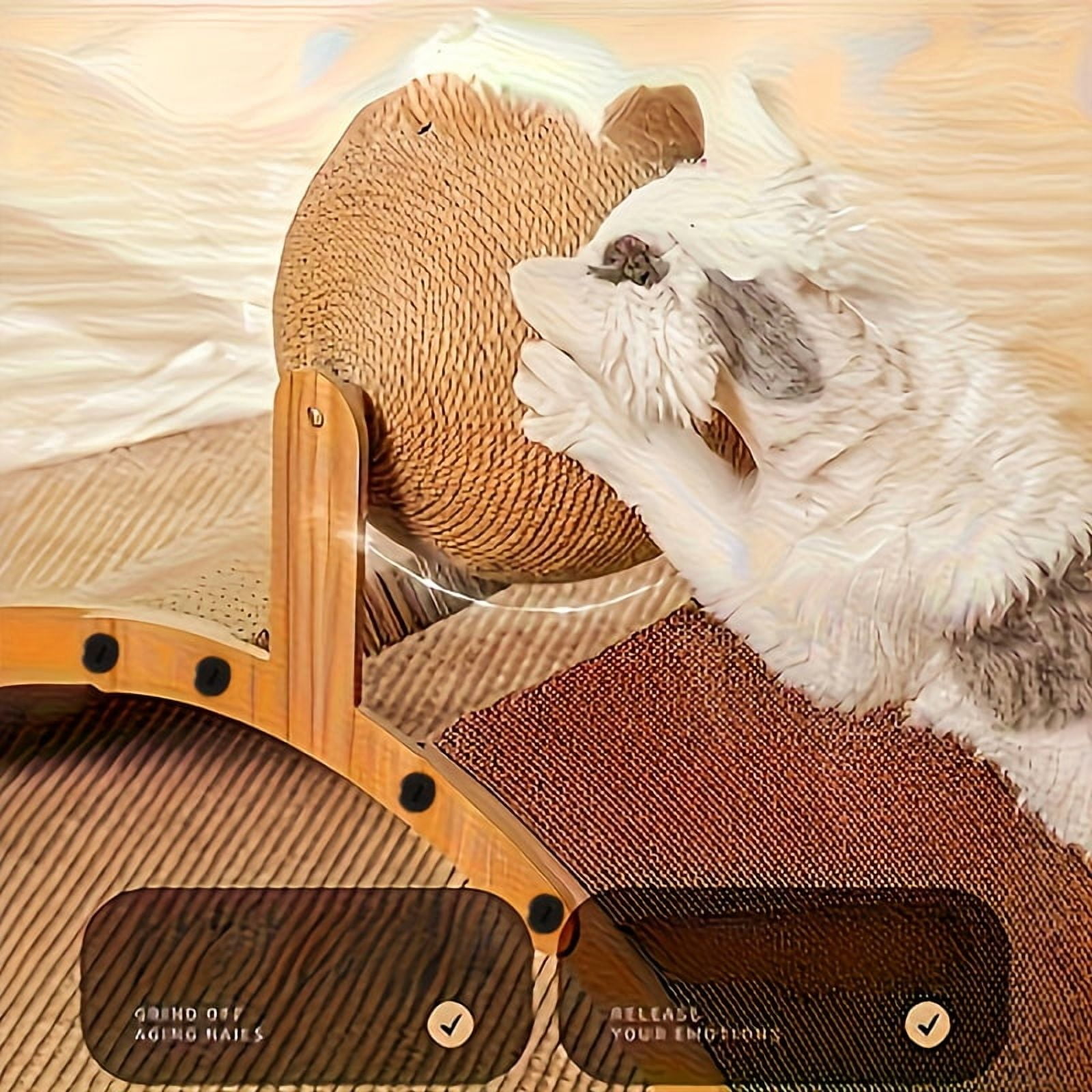 The Decor Spot Plush Interactive Dog Toy for Small to Large Pets (Multicolor, 5.3 oz) 8v1ay
