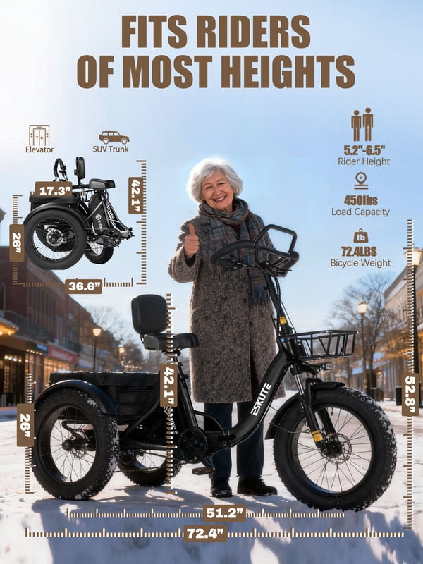 Elecby T300 Pro Electric Tricycle for Adults, Foldable 3-Wheel E-Bike with Fat Tires, 998.4Wh Battery (Black, 20 in x 4 in) l1k1u