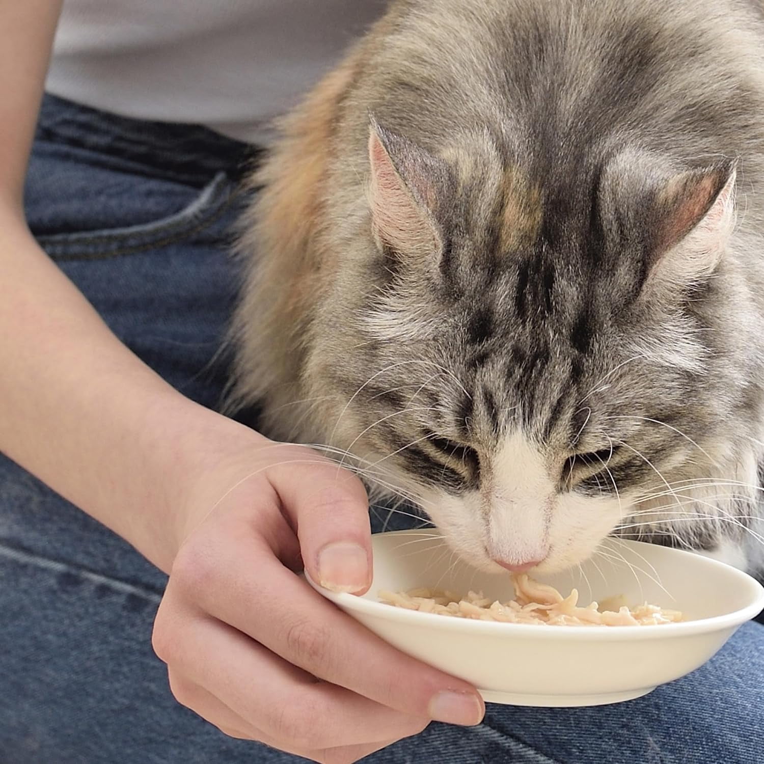 Inaba Chicken Stew Wet Cat Food Savory Recipe (24 Pack, 1.4 oz) 1mc7n