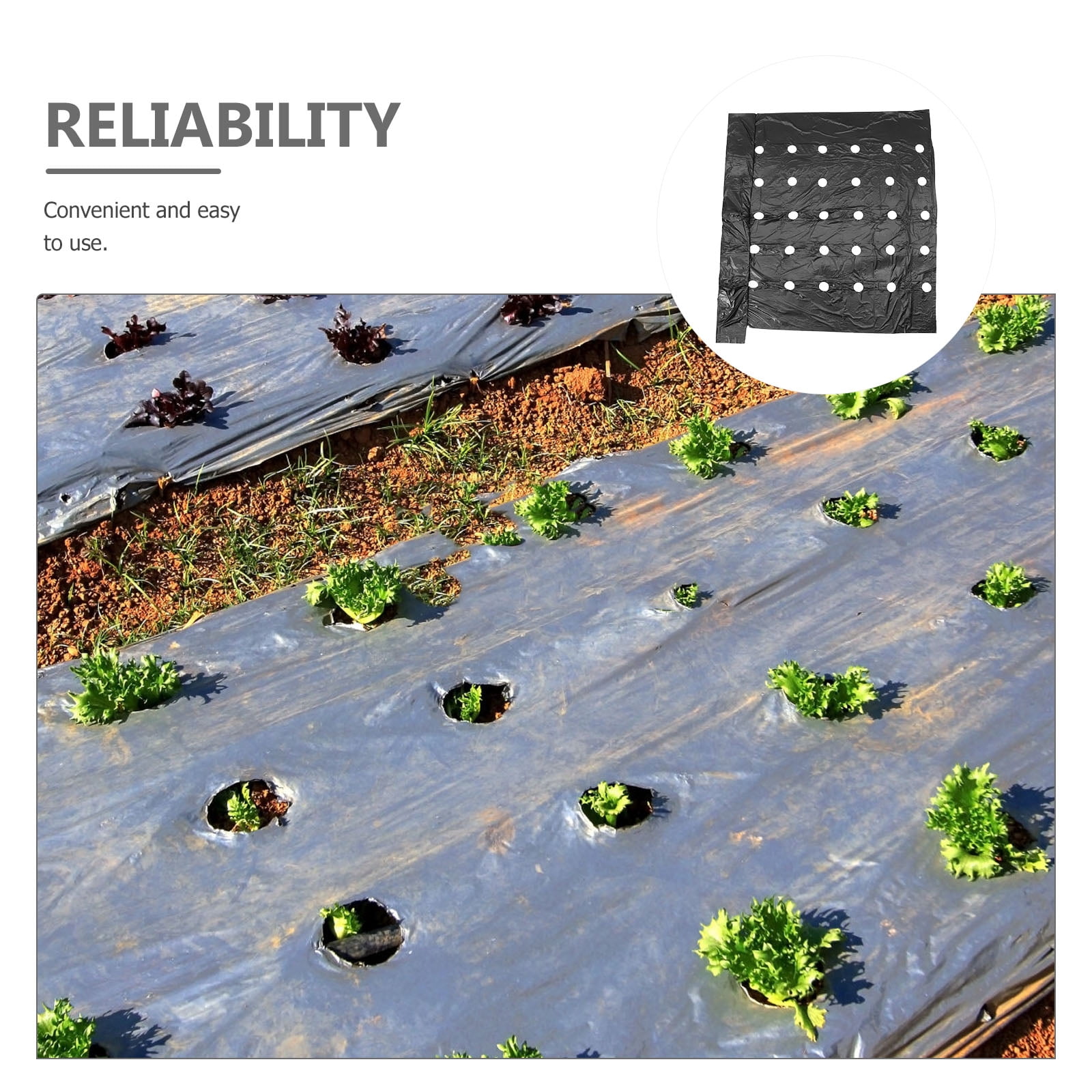 Milisten Perforated Agricultural Mulching Film for Garden Crops (Black, 1 Pack) pbu5z