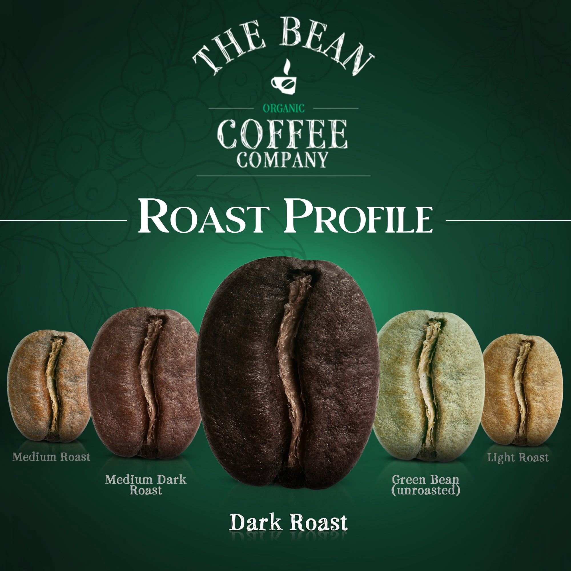 The Bean Organic Coffee Company 50/50 French Roast Ground Coffee (Dark Roast, 32 oz) qtz35