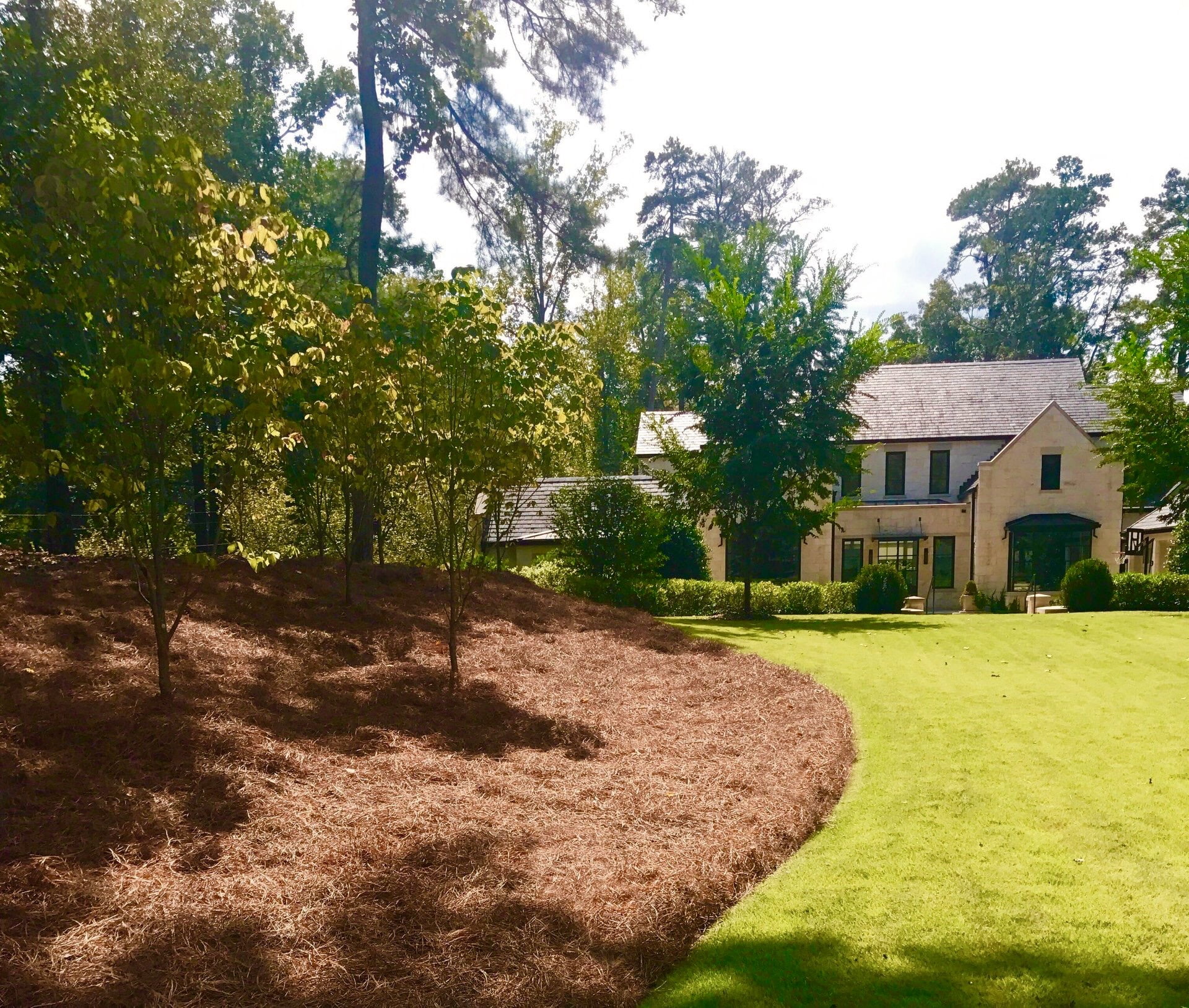acdanc Premium Long Needle Pine Straw Mulch for Landscape Gardens (2200 sq ft) u0v4b