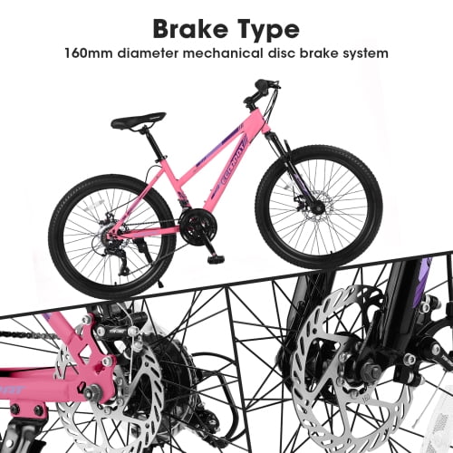 RAISTYW 26 in Mountain Bike for Women, 21-Speed High-Carbon Steel Frame with Dual Disc Brakes (Pink, 26 in) ouug7