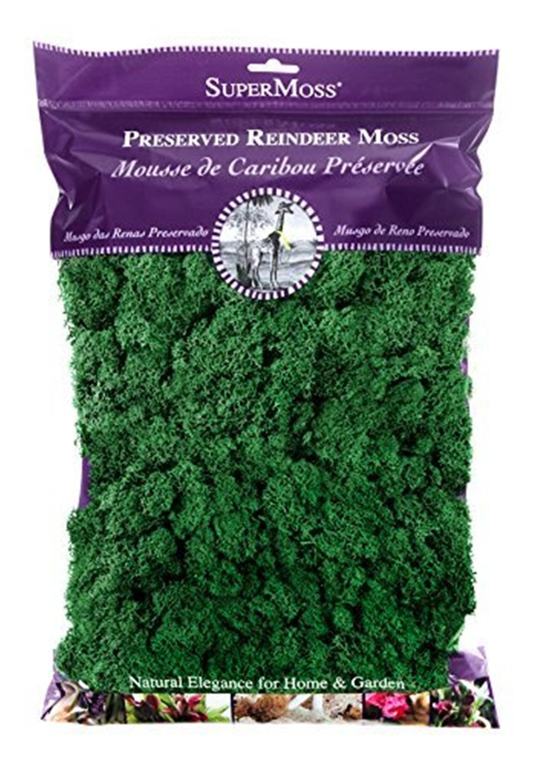 SuperMoss Preserved Reindeer Moss Decorative Craft Filler (Green, 8 oz) 8554h
