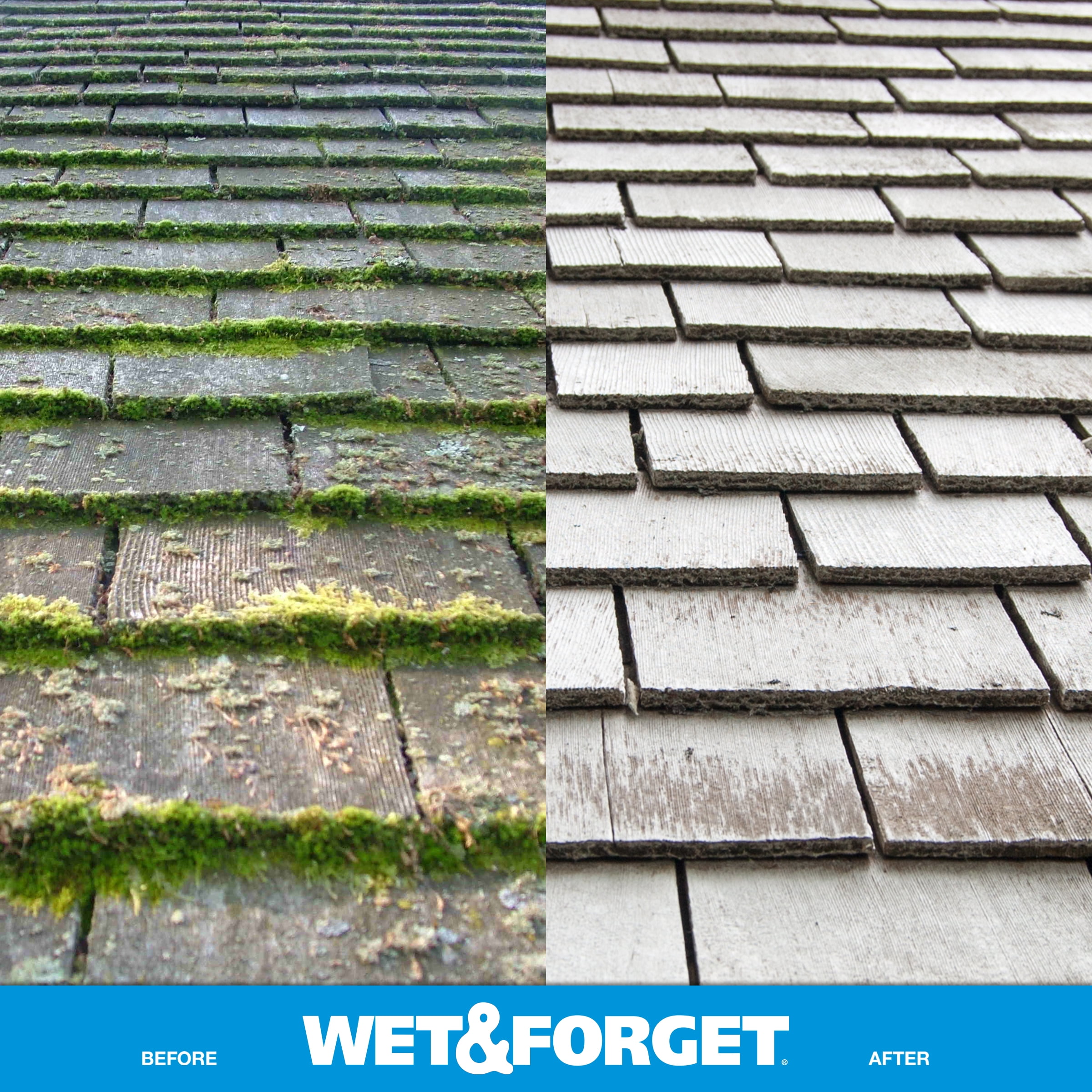 Wet & Forget Outdoor Moss, Mold, Mildew, and Algae Stain Remover Concentrate (128 oz) gb8ly