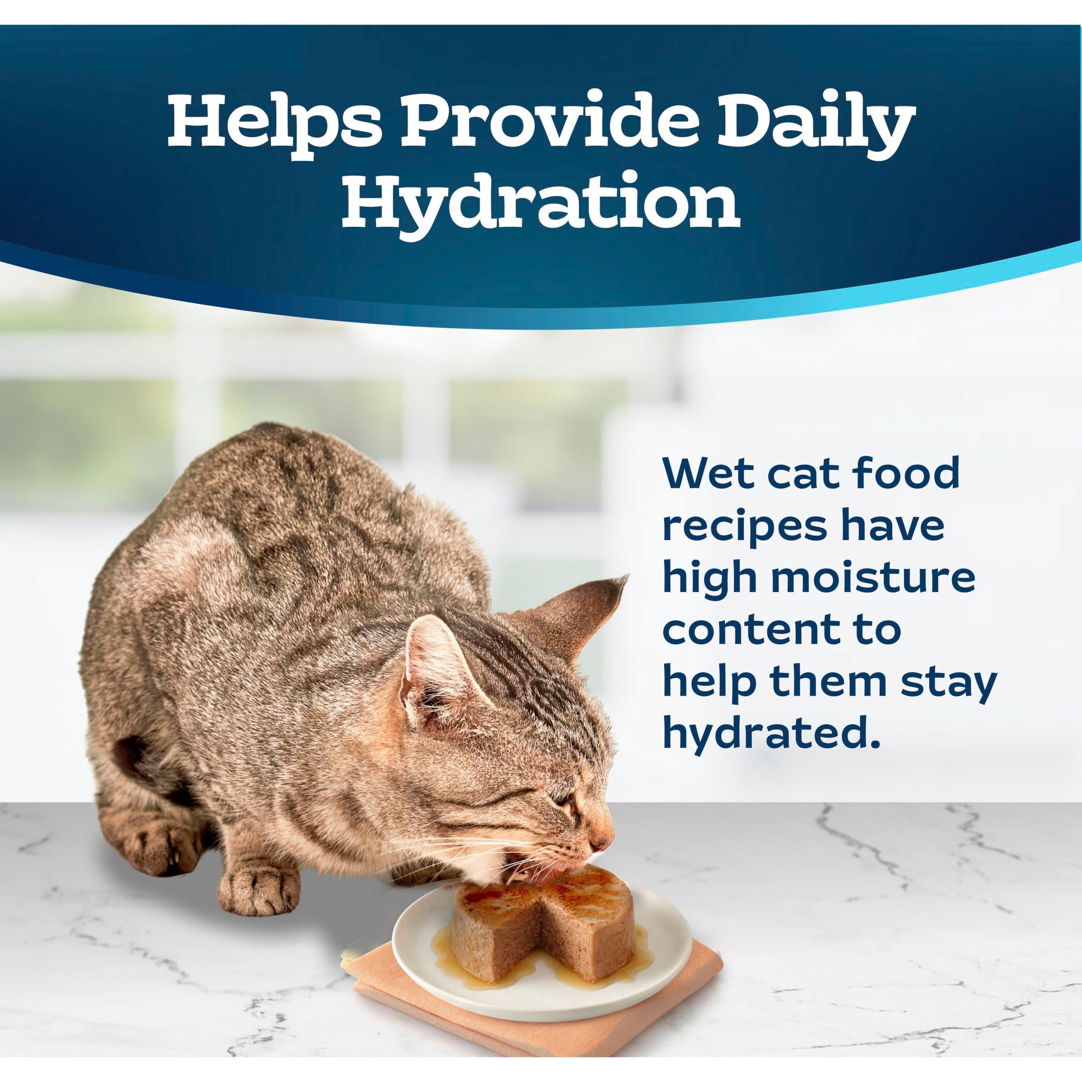 Blue Buffalo Tastefuls Wet Cat Food Paté, Natural Salmon Entrée (5.5 oz) siekj