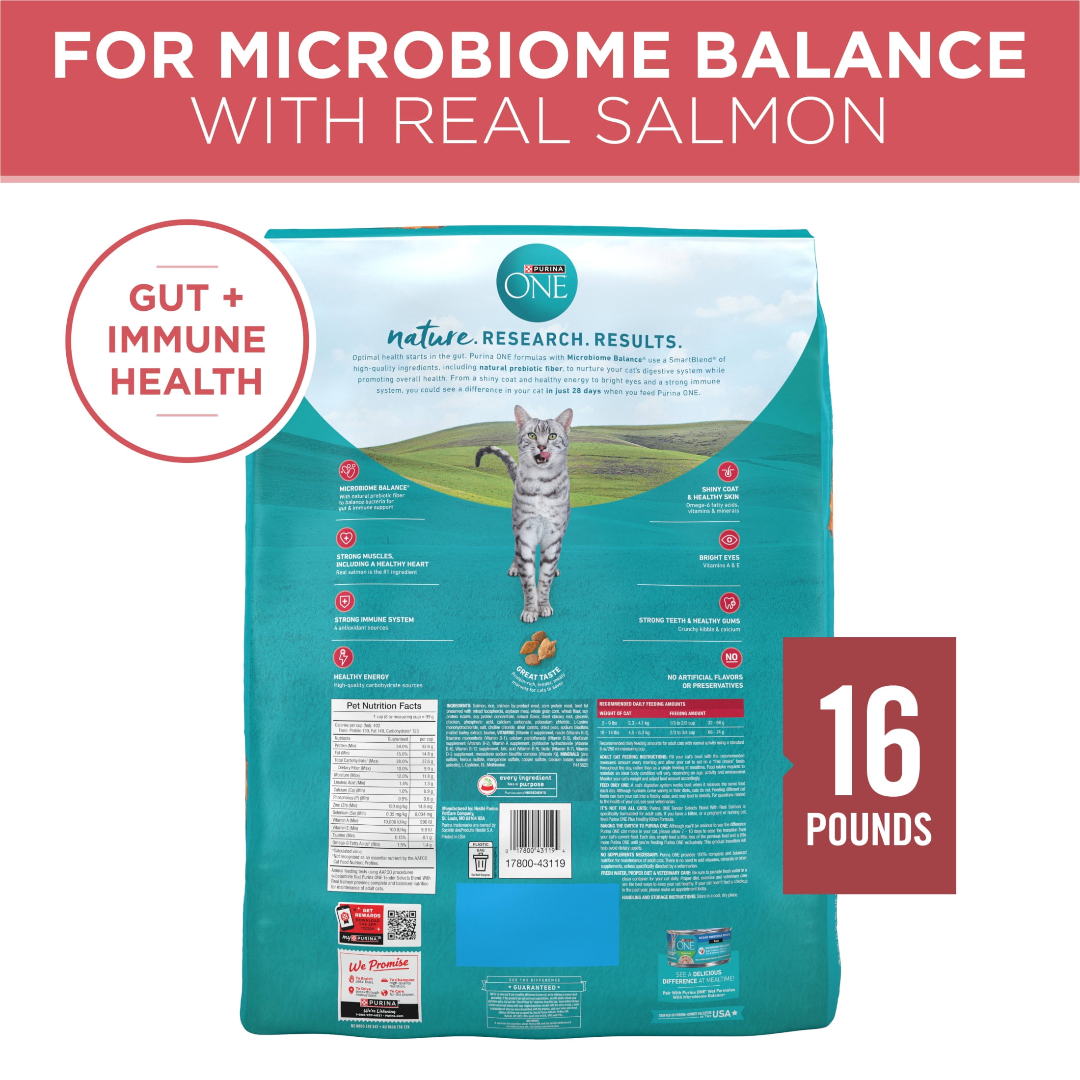 Purina ONE Tender Select Blends Dry Cat Food, Real Salmon Recipe (16 lb) 85u50