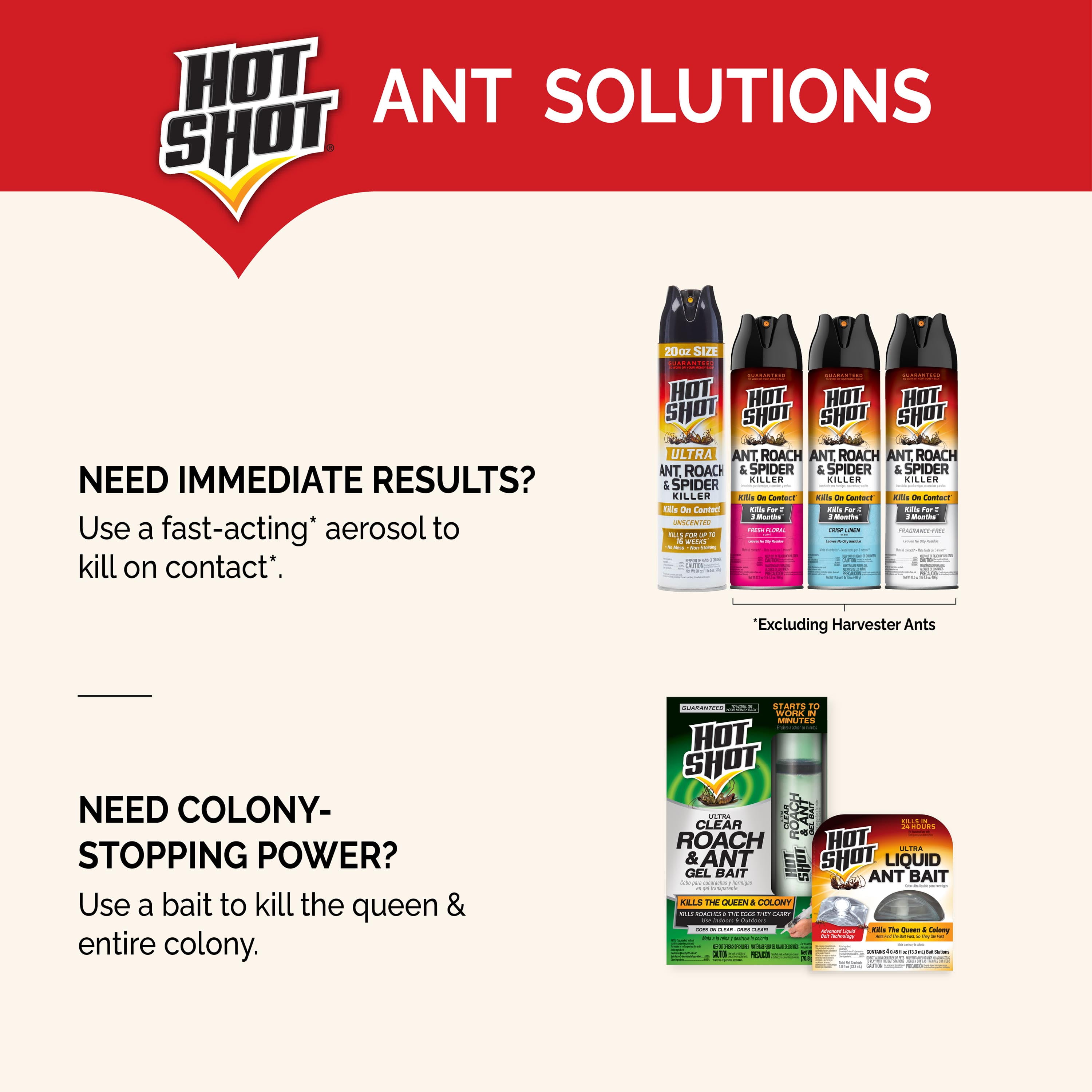 Hot Shot Ant, Roach & Spider Killer Spray, Long-Lasting Indoor & Outdoor Pest Control (Fresh Floral Scent, 17.5 oz) do8y7