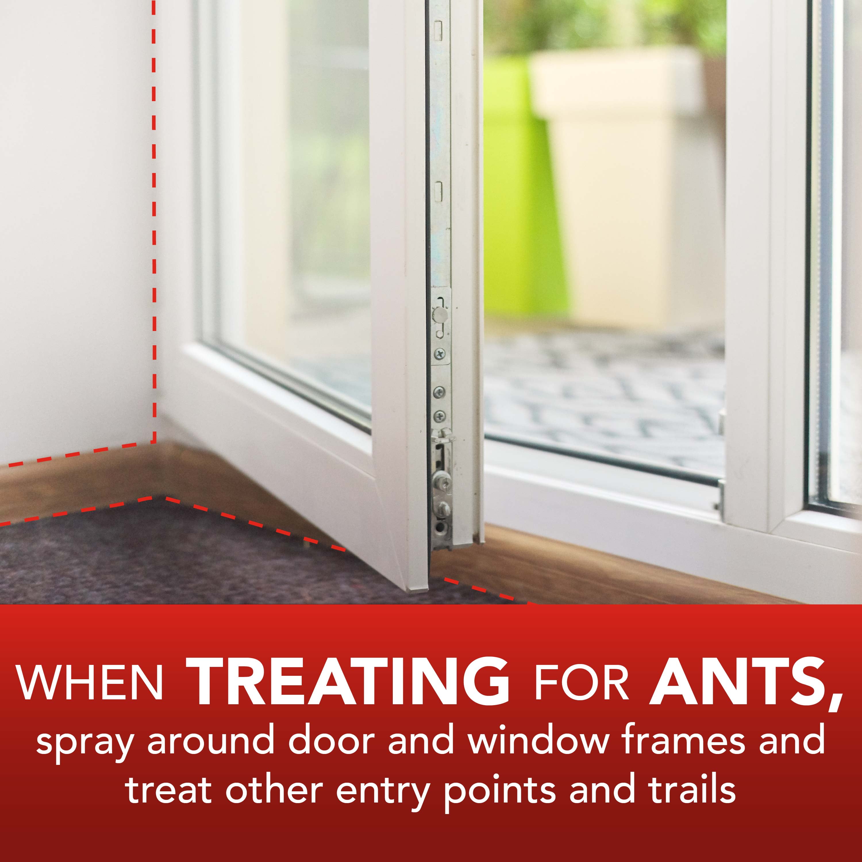 Eliminator Ant, Roach & Spider Killer Insecticide Spray (17.5 oz) 9zosv