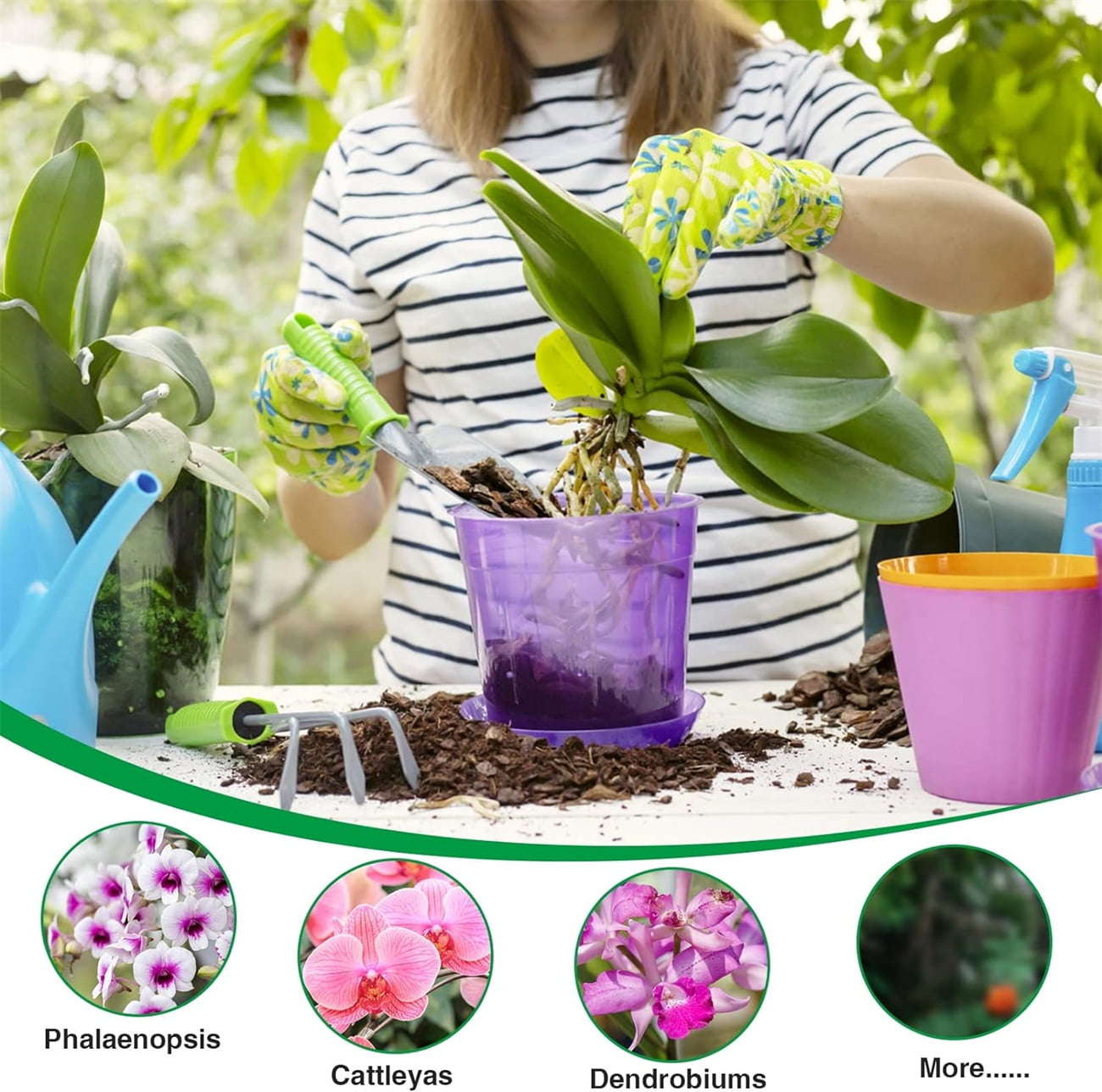 Bexikou Organic Orchid Potting Bark Mix, Natural Pine Wood Chips for Root Health and Aeration (8 qt) s09v8