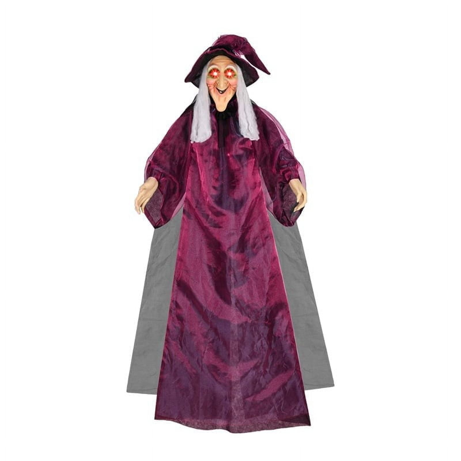 Blukids Animated Halloween Witch Prop, Voice Activated Hanging Decoration for Outdoor Haunted House (Purple, 71 in) v94cg
