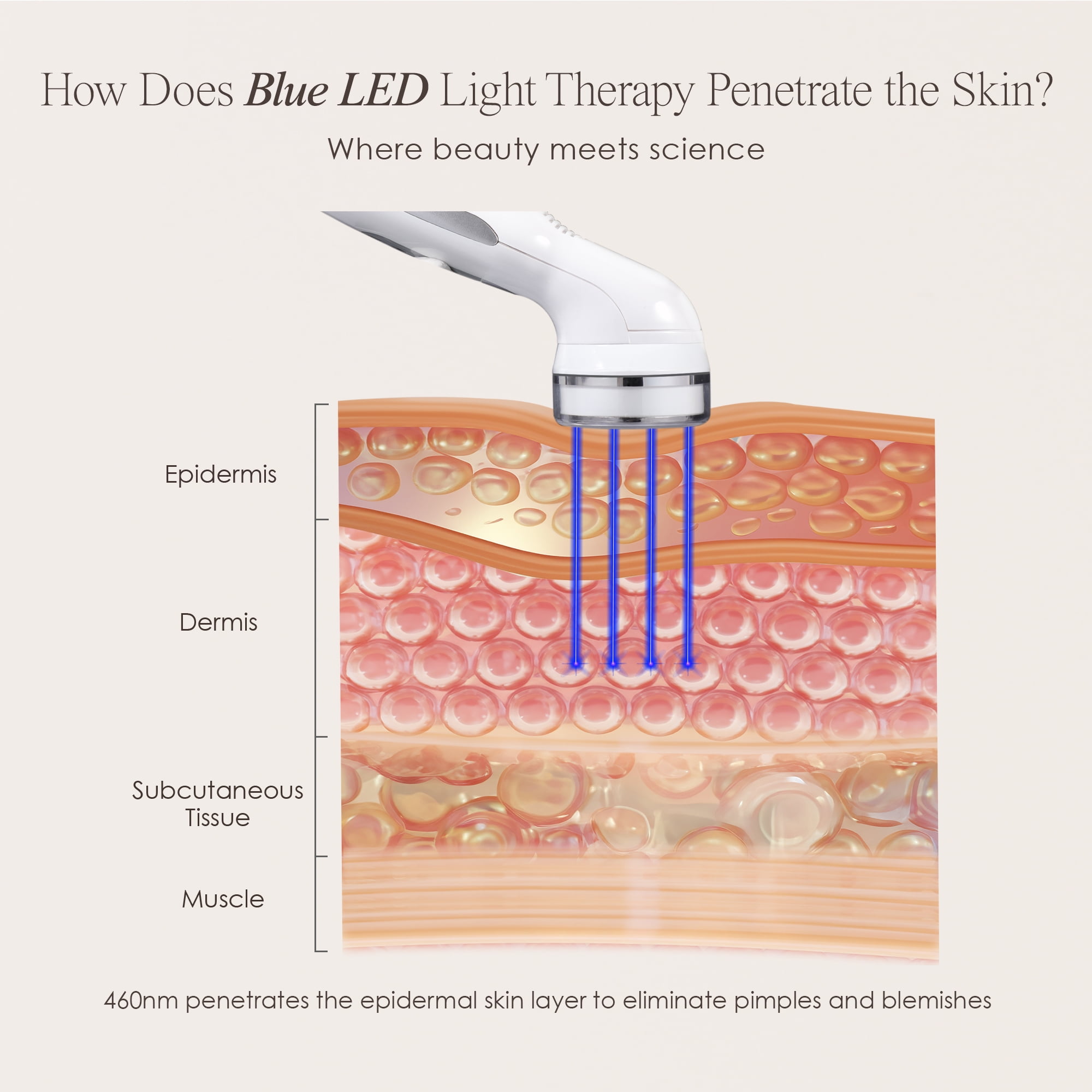 Project E Beauty Blue LED Light Therapy Device for Acne and Pore Minimizing (Blue, 1.15 lb) q8smj