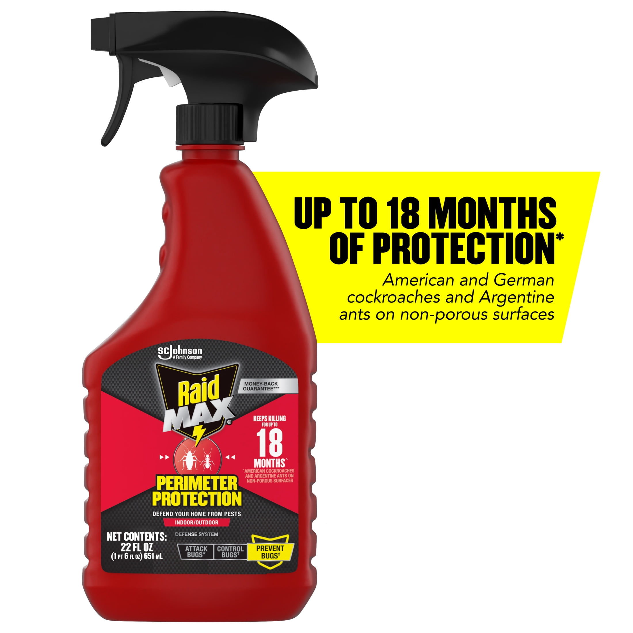 Raid MAX Perimeter Protection Multi Insect Killer Spray (Indoor & Outdoor, 22 fl oz) sm633