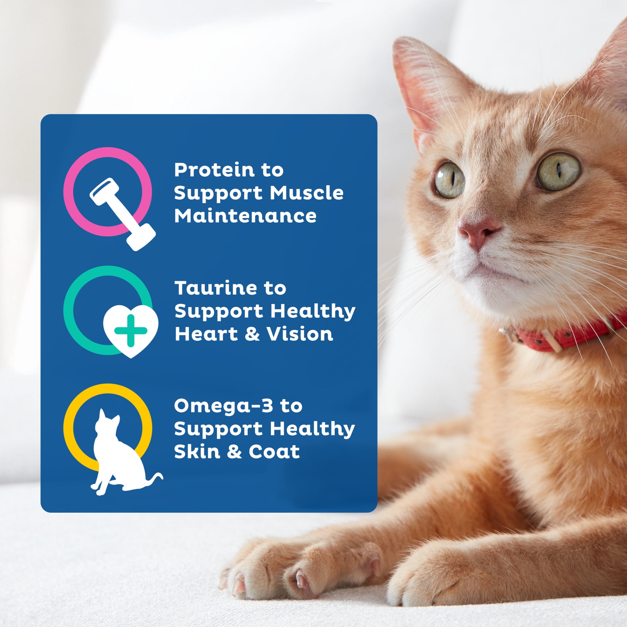 9Lives Daily Essentials Dry Cat Food for Adult Cats, Chicken, Beef & Salmon Flavor (15.5 lb) 4jeqx