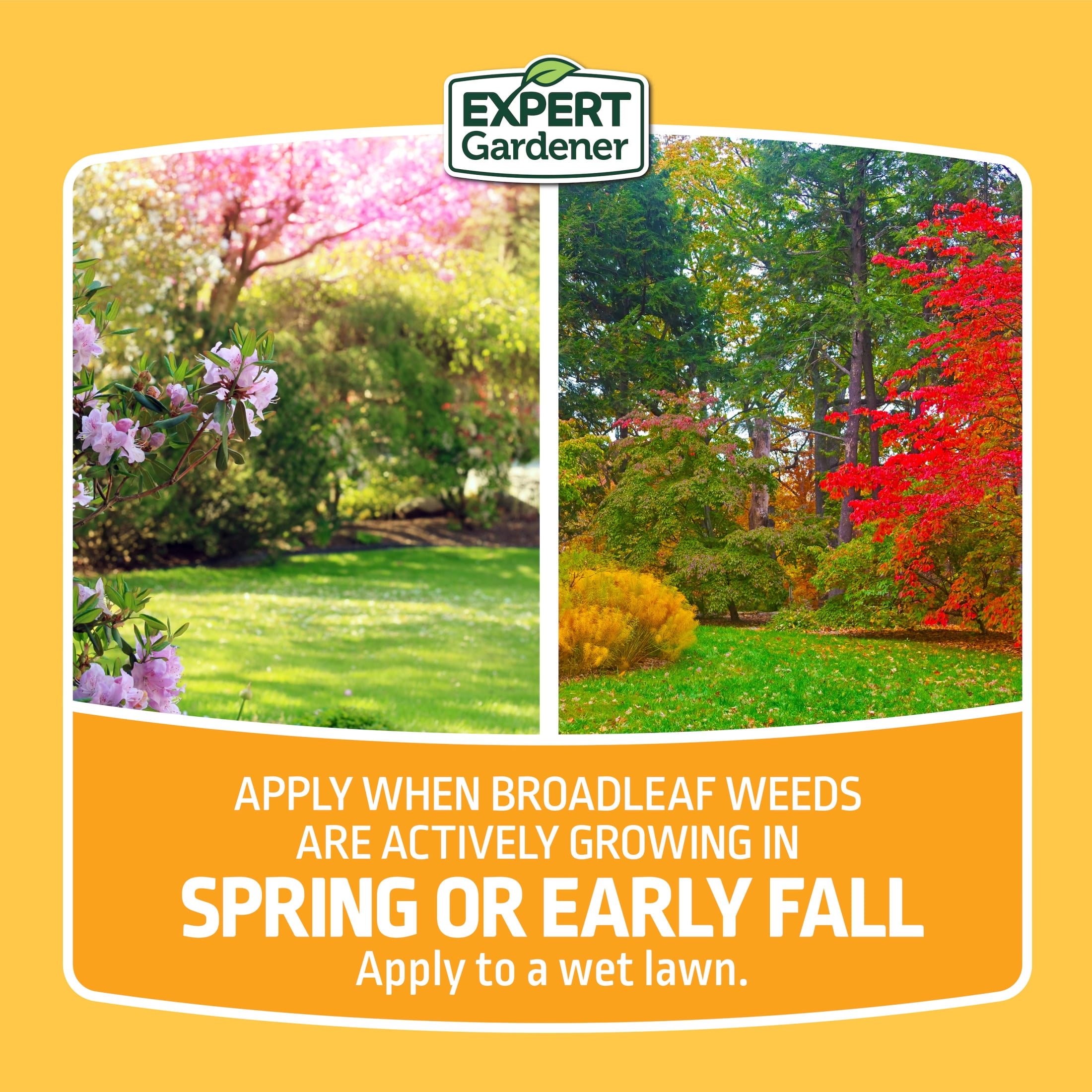 Expert Gardener Weed and Feed Fertilizer Lawn Care Treatment (32 oz) kgowz