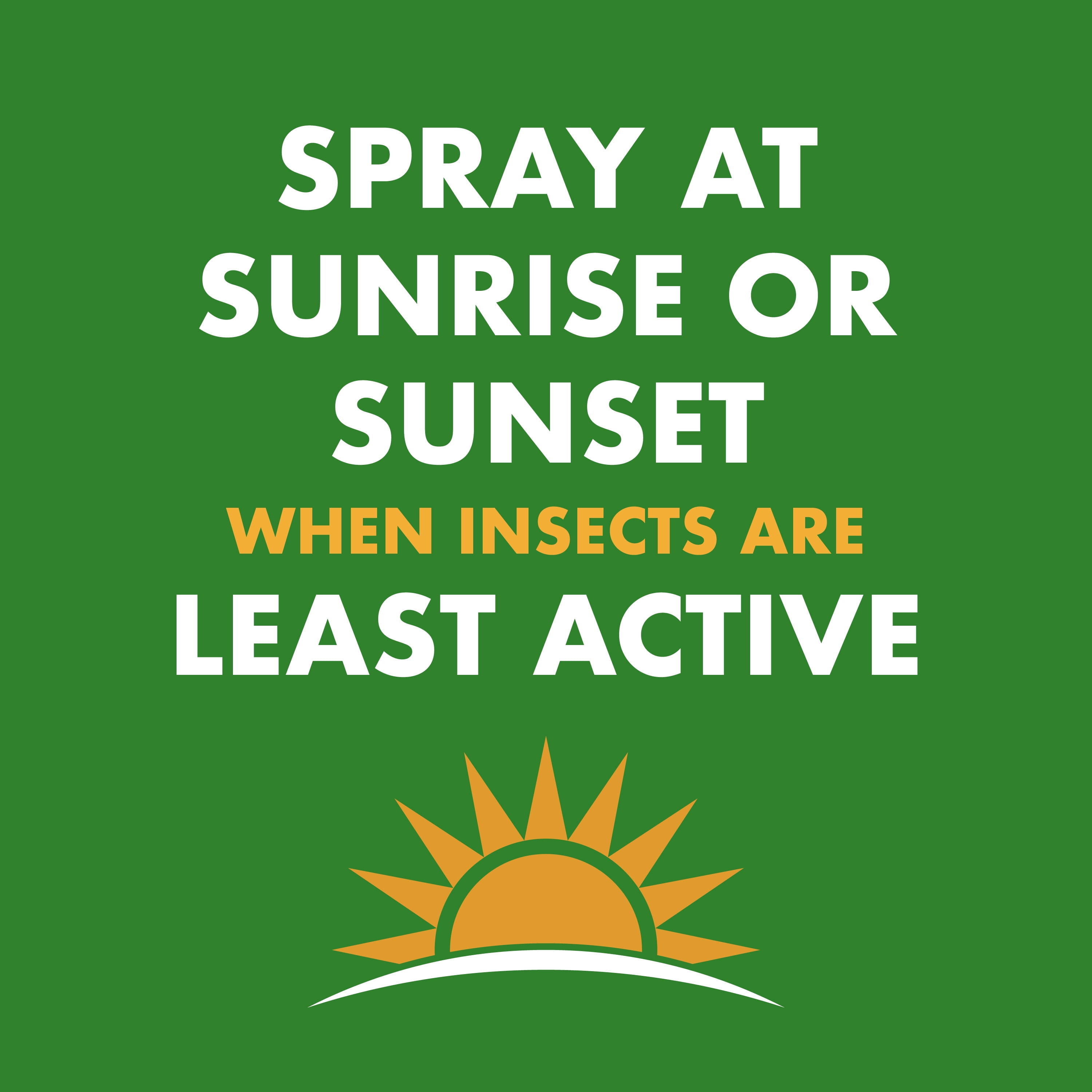 Spectracide Wasp & Hornet Killer Spray, Long-Range Jet Reach, Non-Staining Formula (18.5 oz) 0zs5h