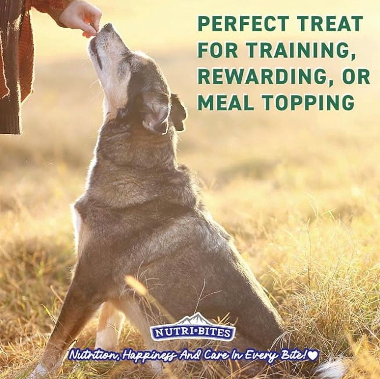 Canature Global NutriBites Freeze Dried Beef Liver Dog and Cat Treats (Natural, High-Protein) (54 oz, 2-Pack) l4u8g