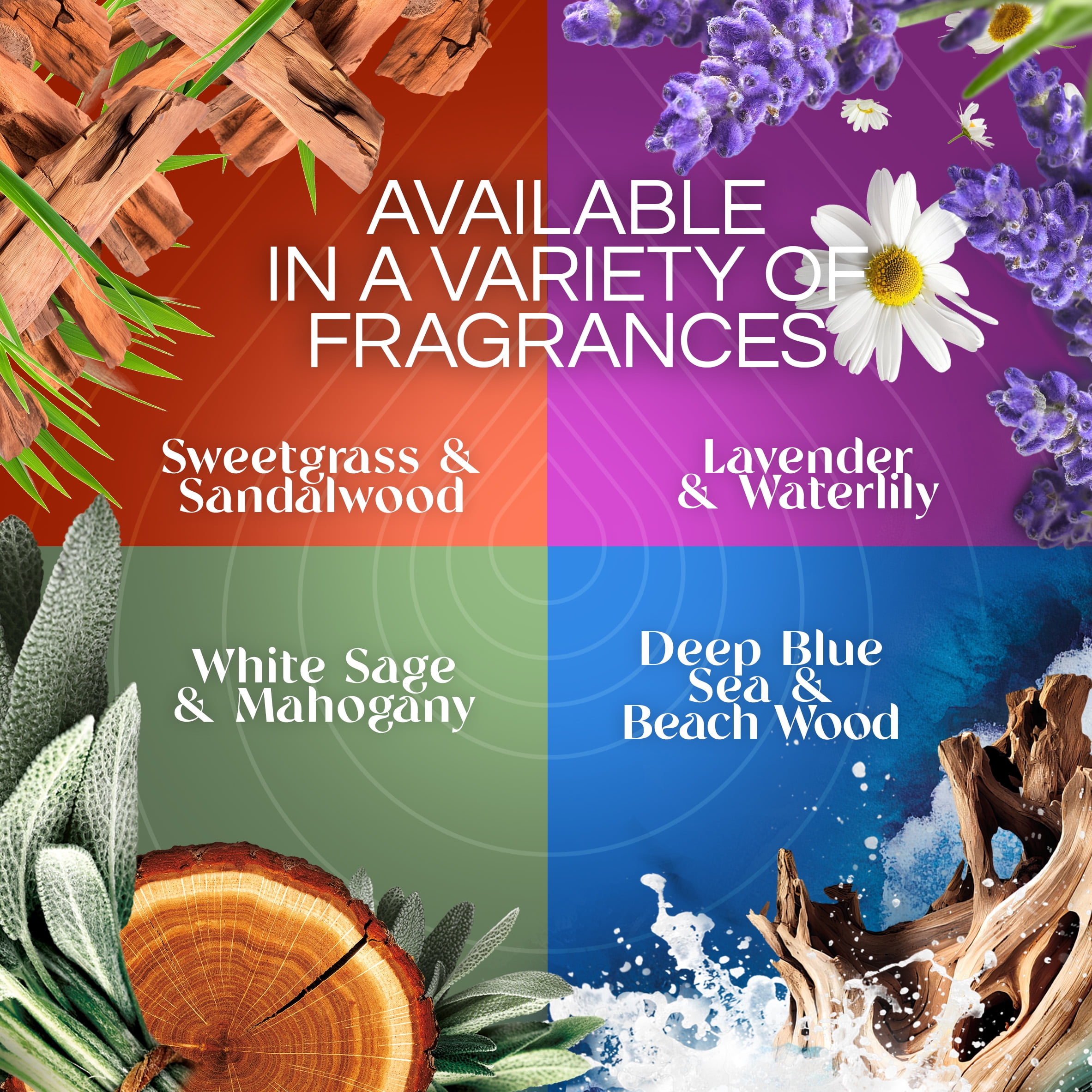 Air Wick Vibrant Plug-In Scented Oil Refills, Cashmere and Sandalwood (3 Count) u7bv0