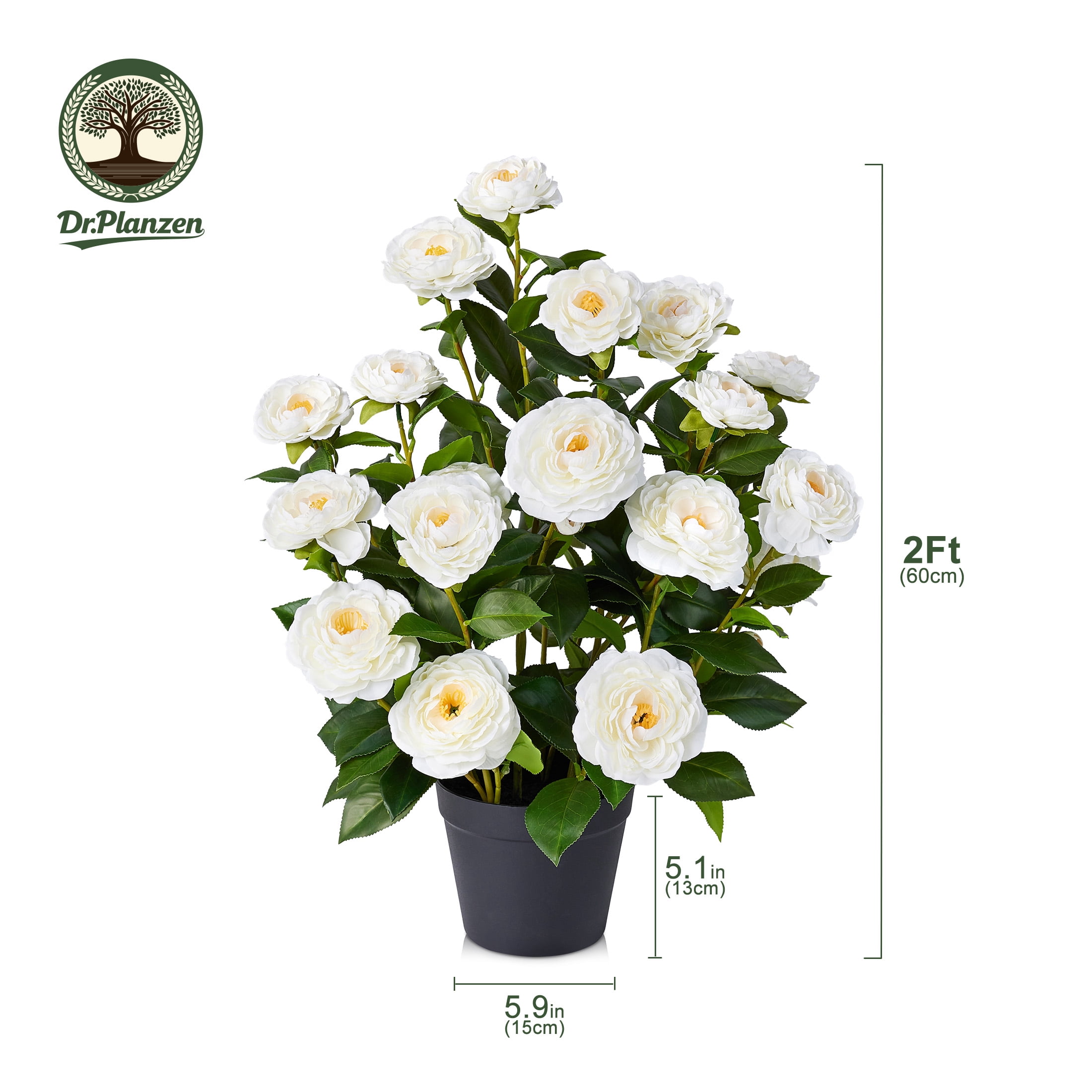 DR.Planzen Artificial Camellia Tree Potted Faux Plant for Indoor Decor (White, 2 ft, 2 Pack) rj8d5